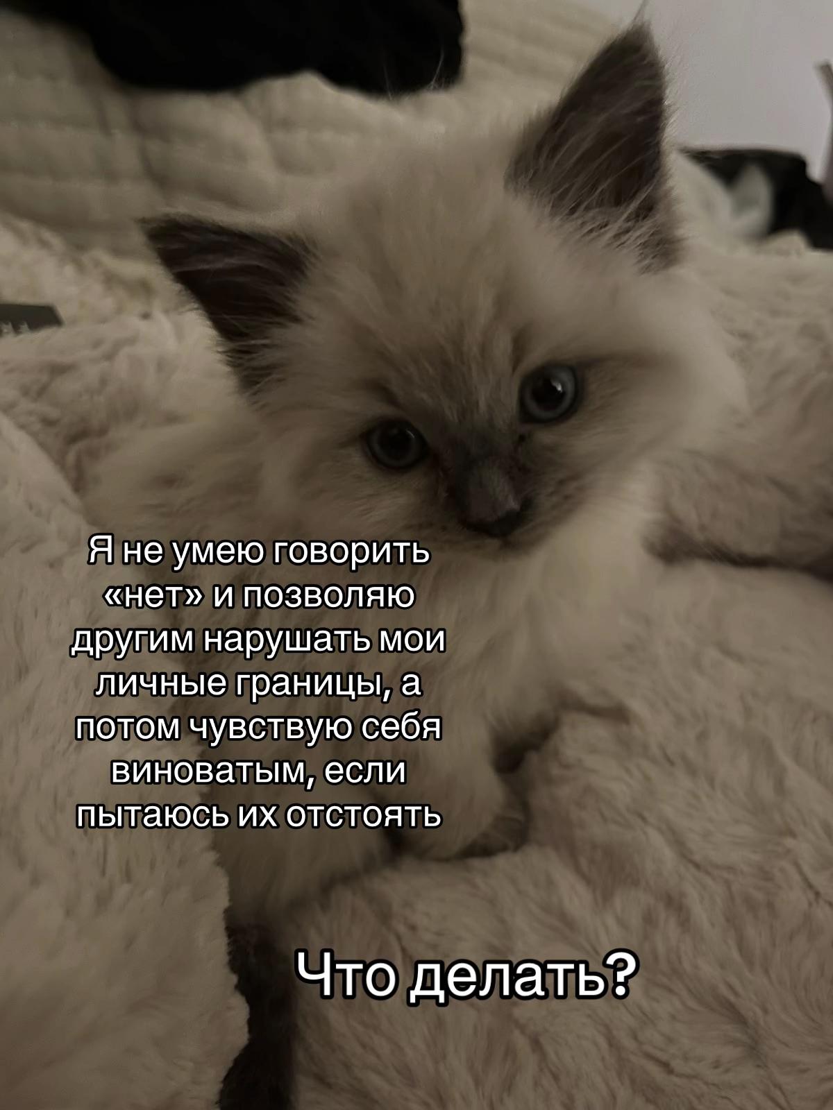 @тгк: психология с марго