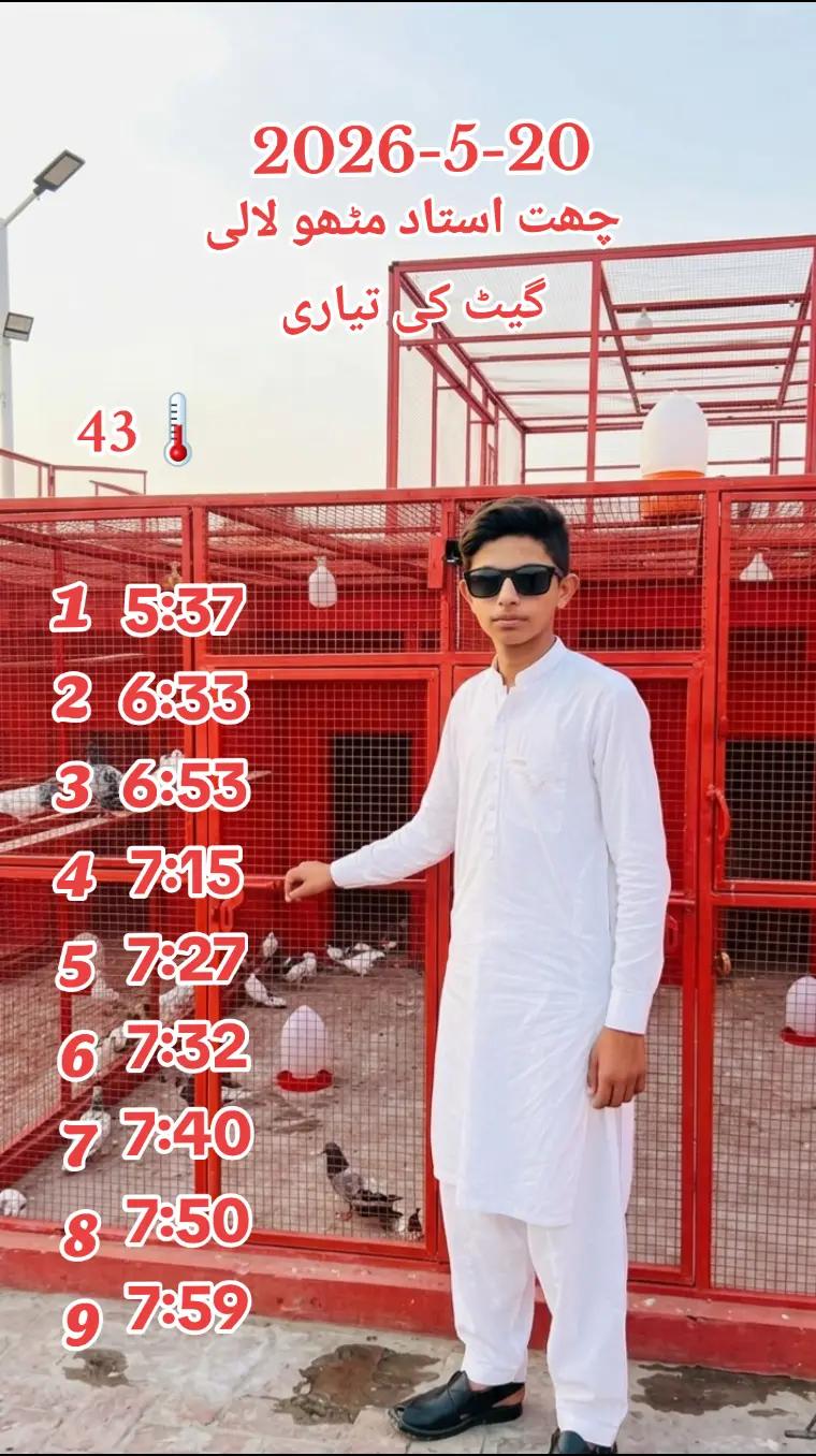 @🕊️ ملک دانیال 4❤️
