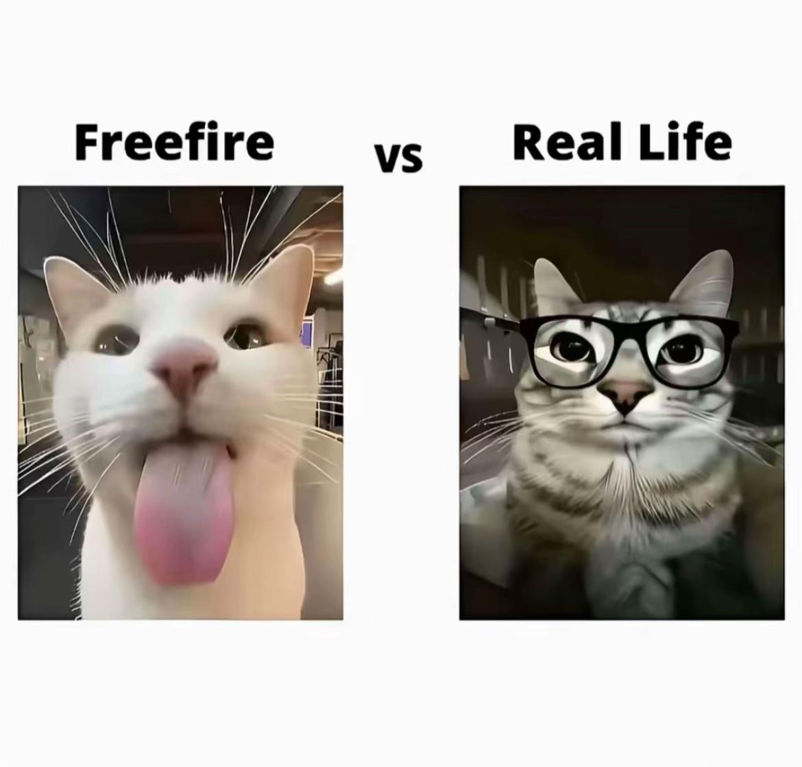 @Pepae