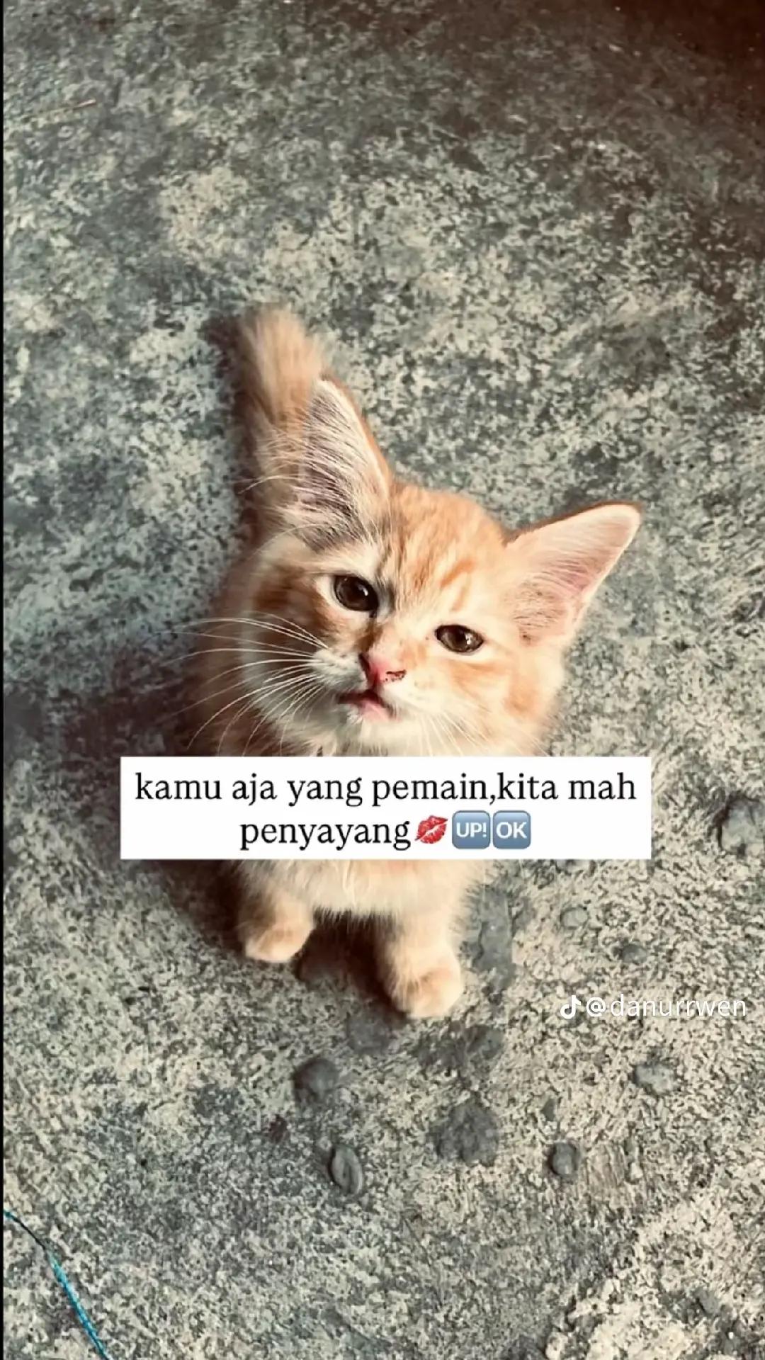 @Nasar