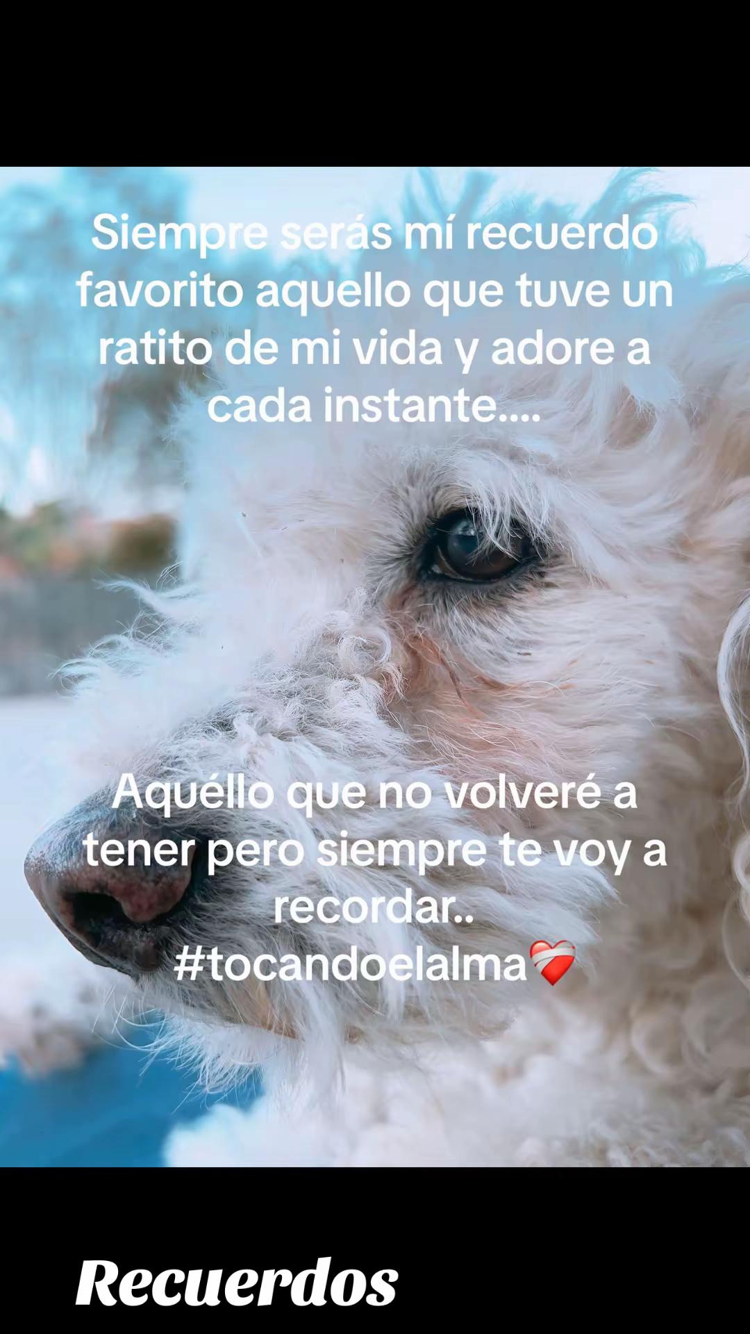 @MaricelaAvalosTovar