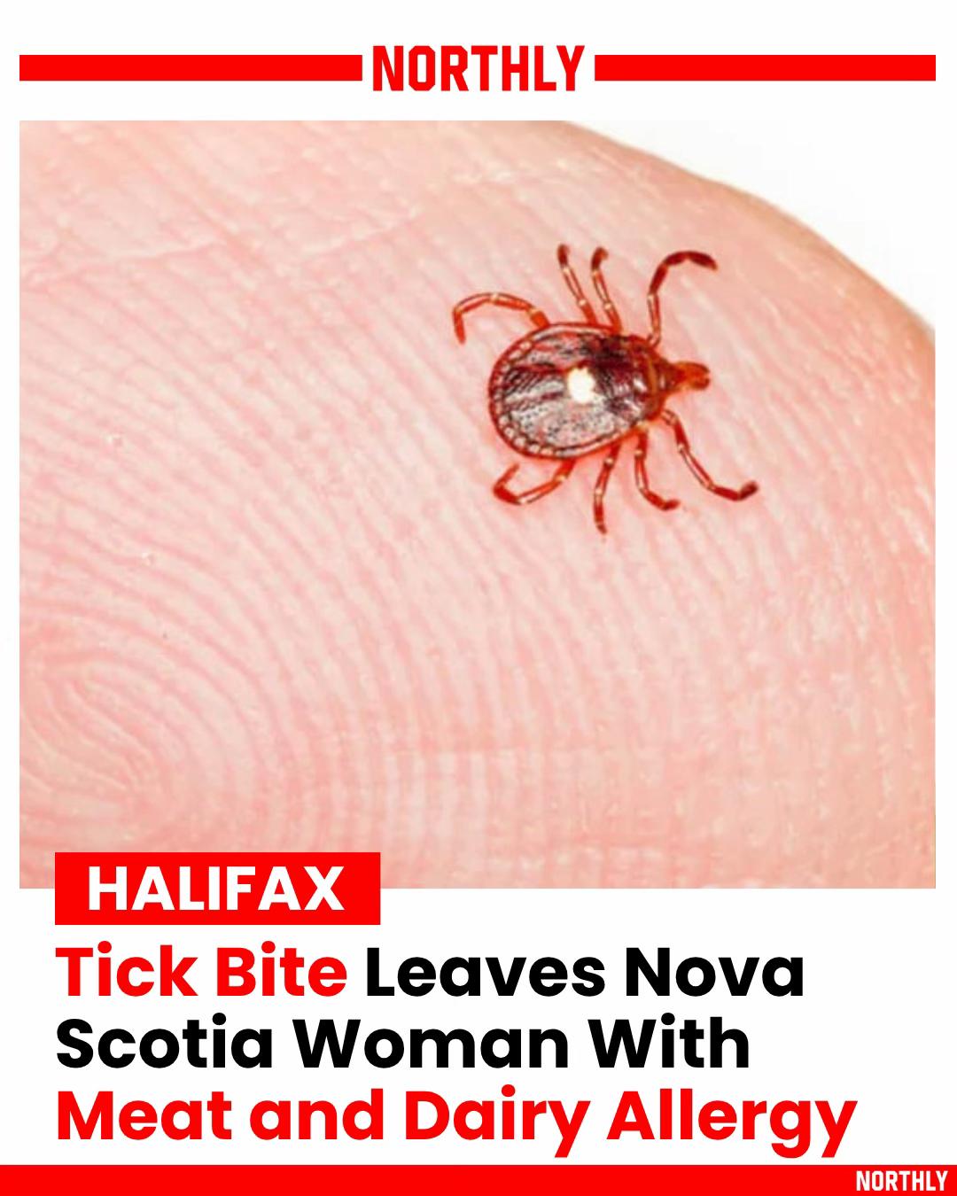 @northlyhalifax