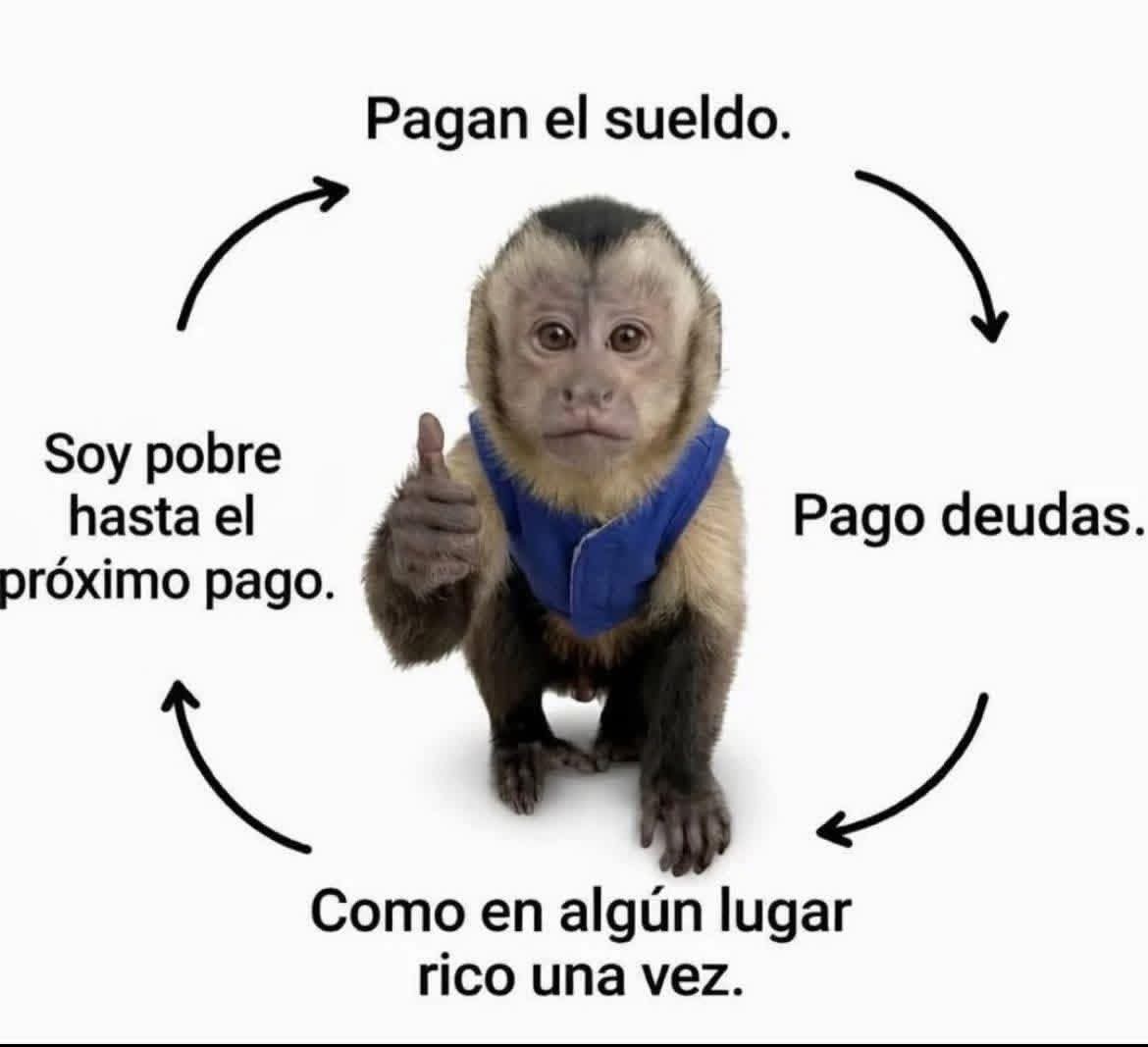 @Fran