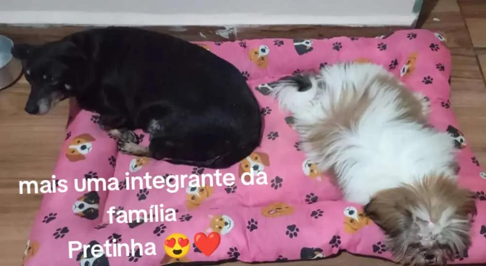 @Princesa