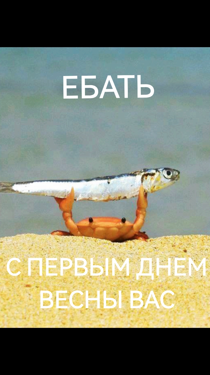 @Fox