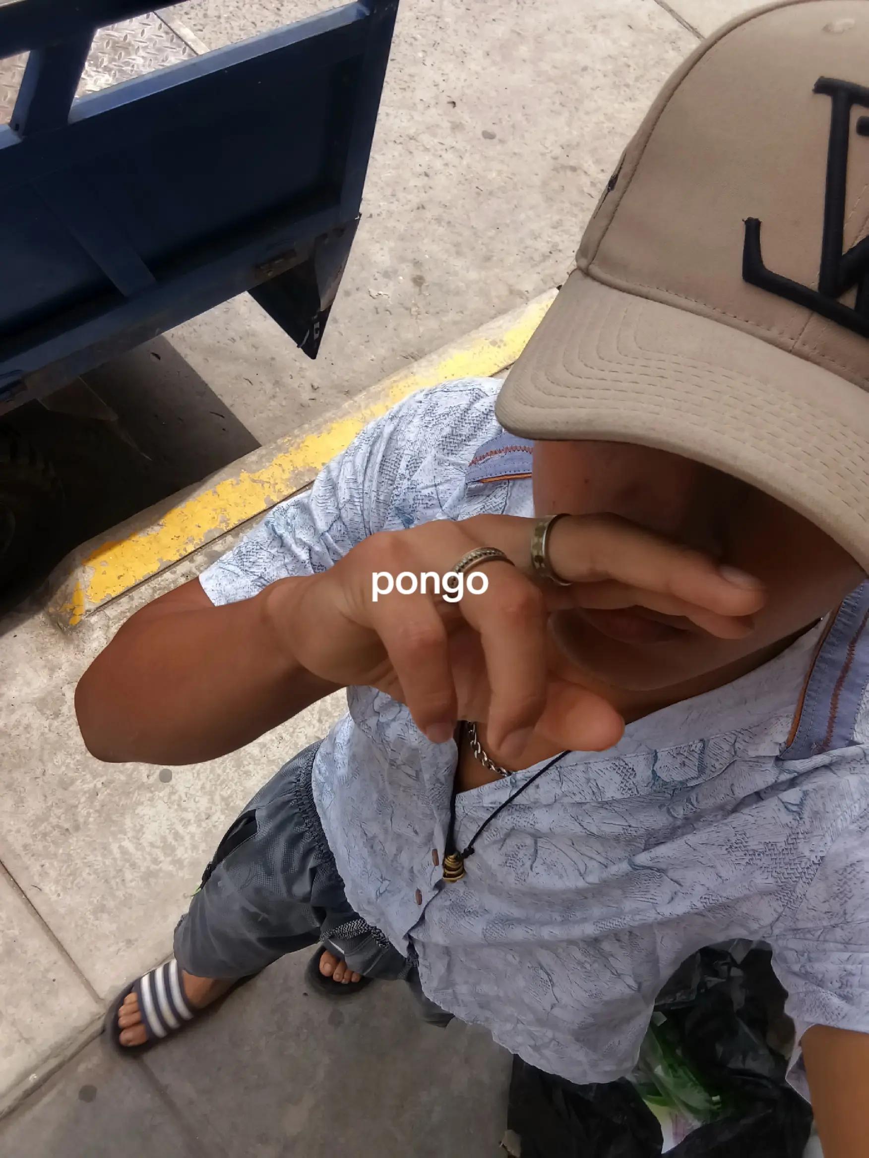 @pongo🎤🎶🎧💸