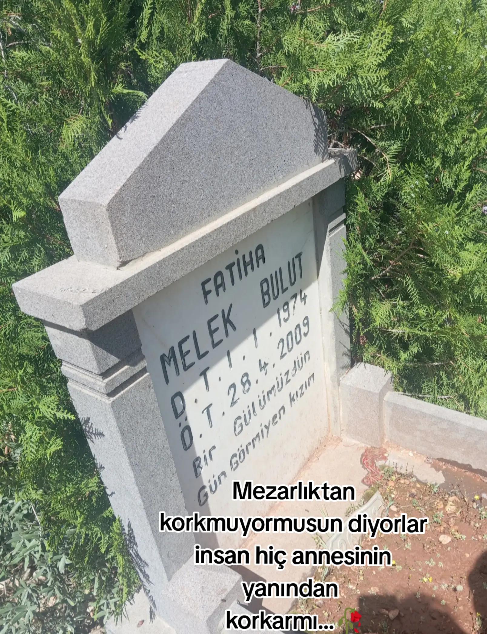 @🕊️