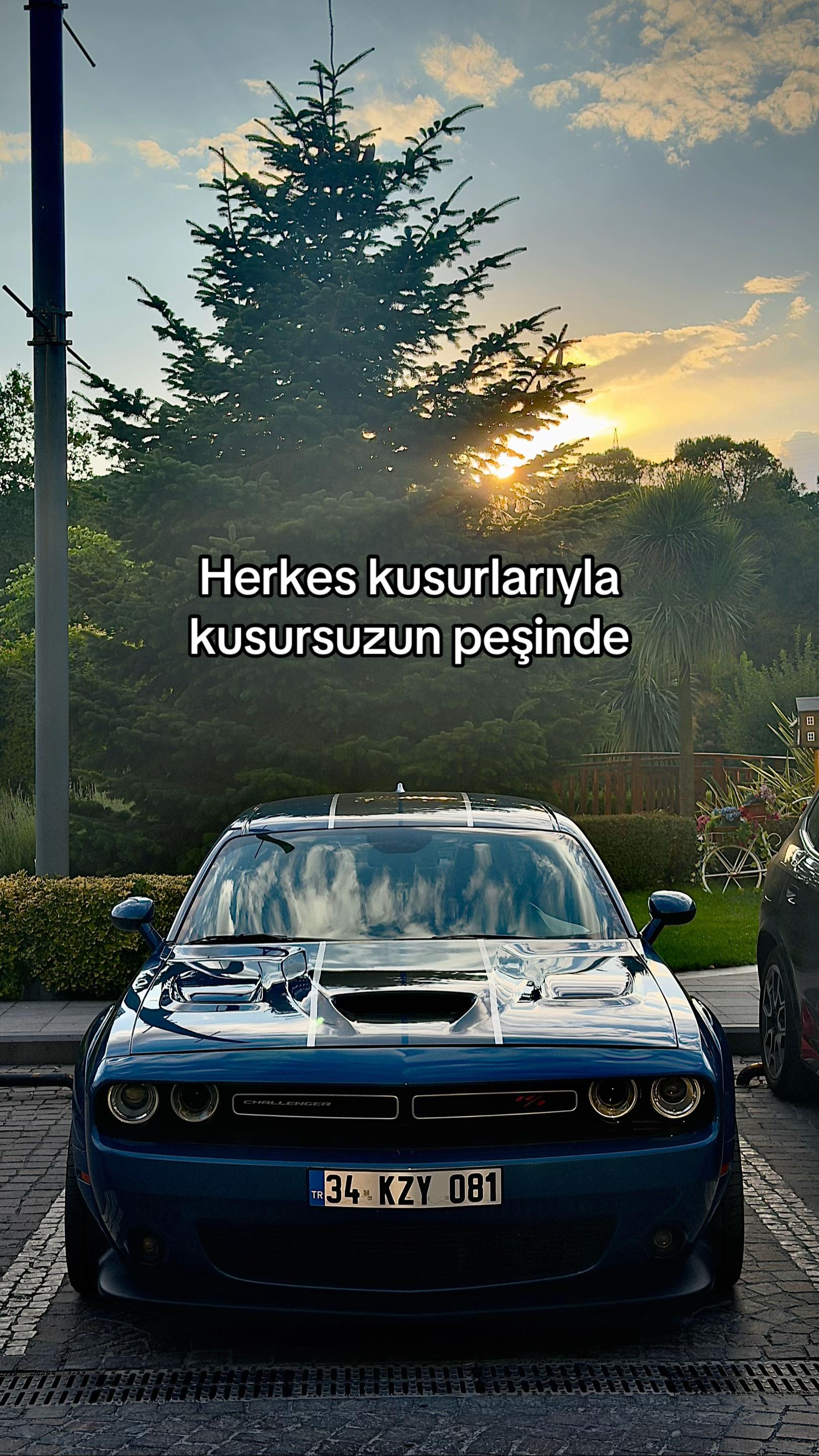 @Eren taşçı 53