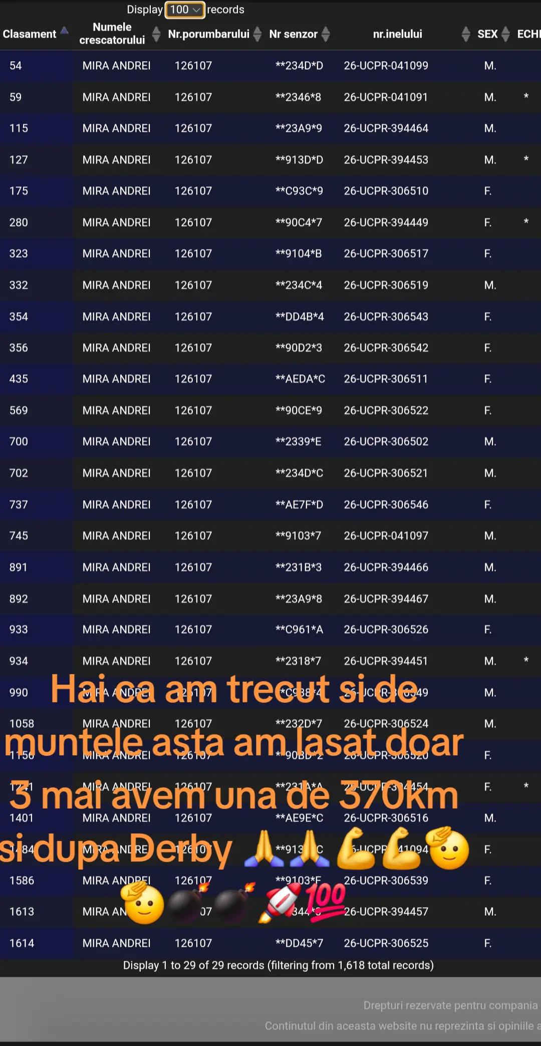 @Andrei Mira
