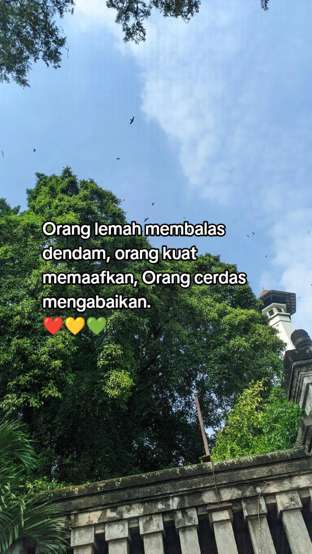 @yo kayma
