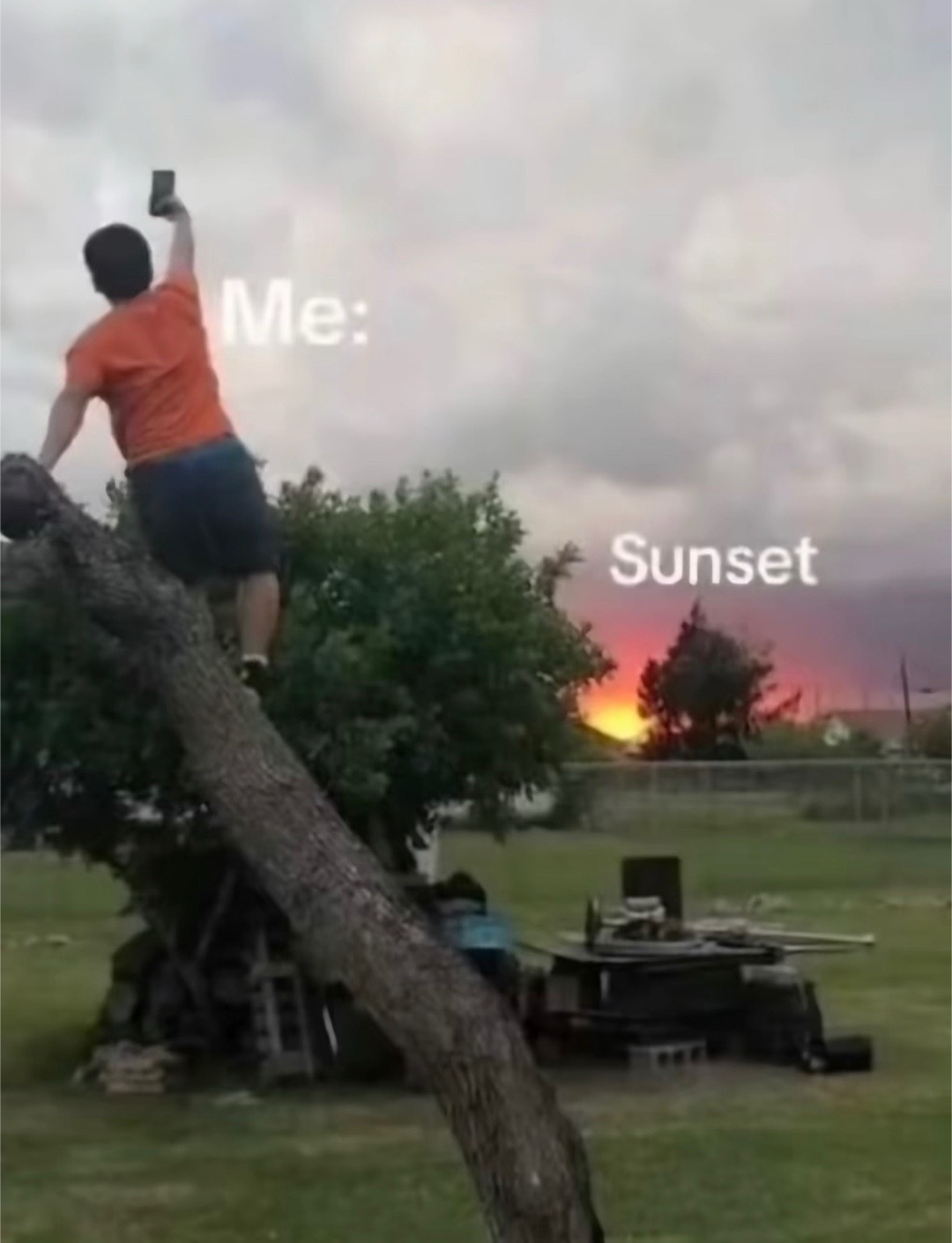 @Estrella