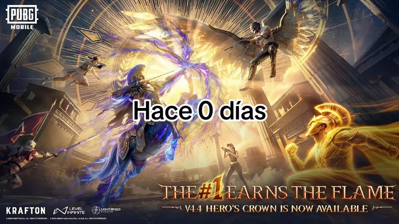 @donholguin