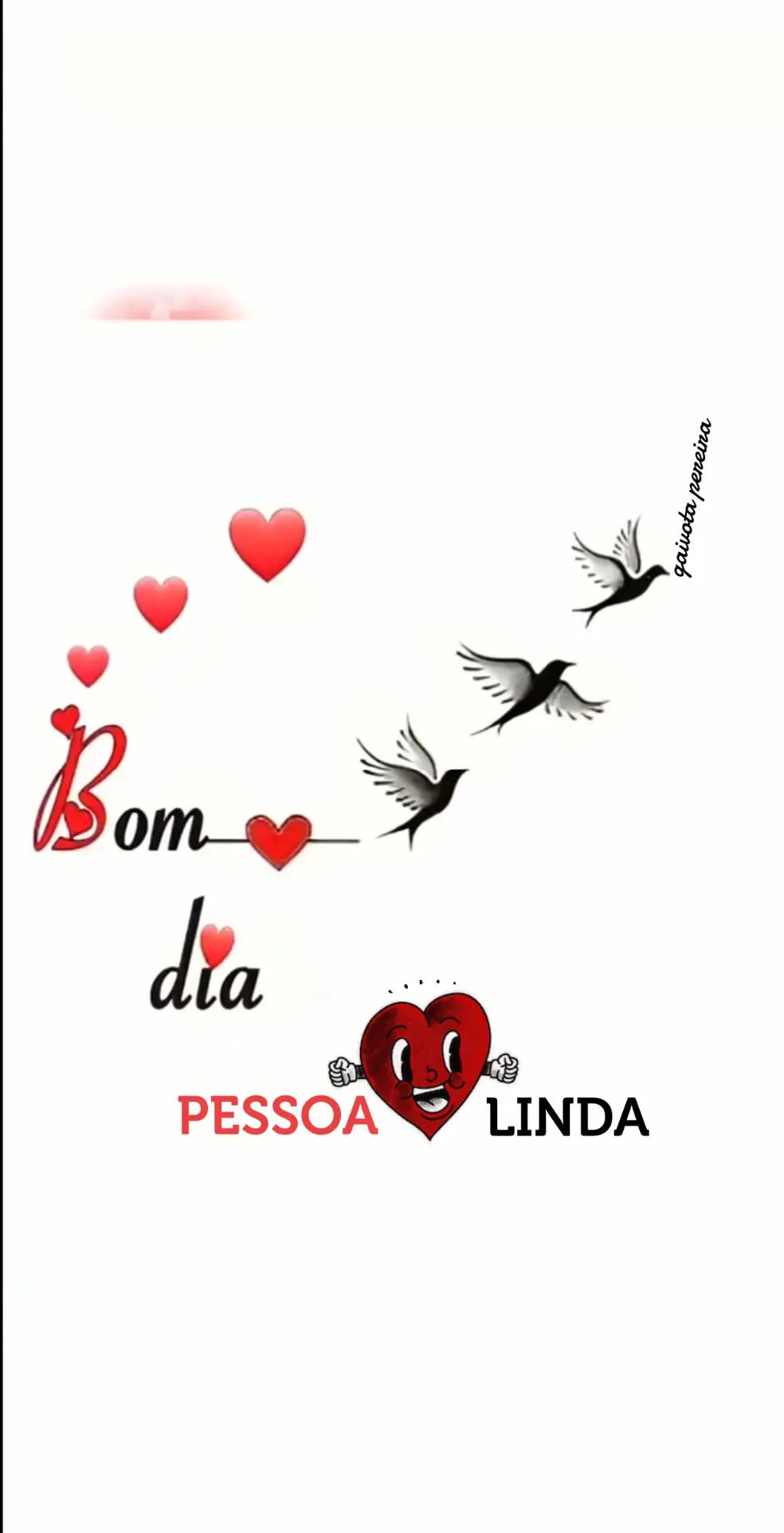 @Gaivota