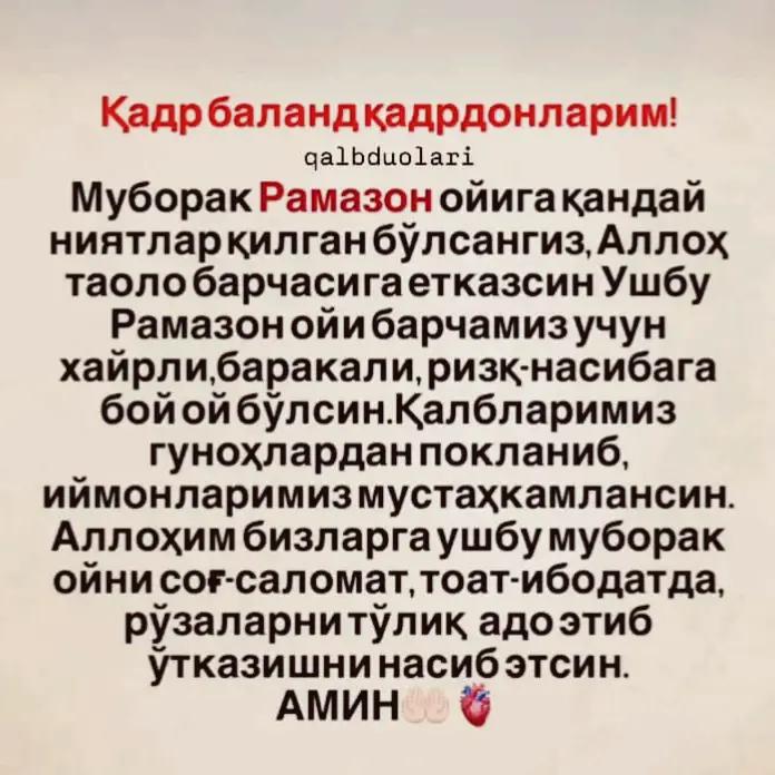 @ЗЕБО 24