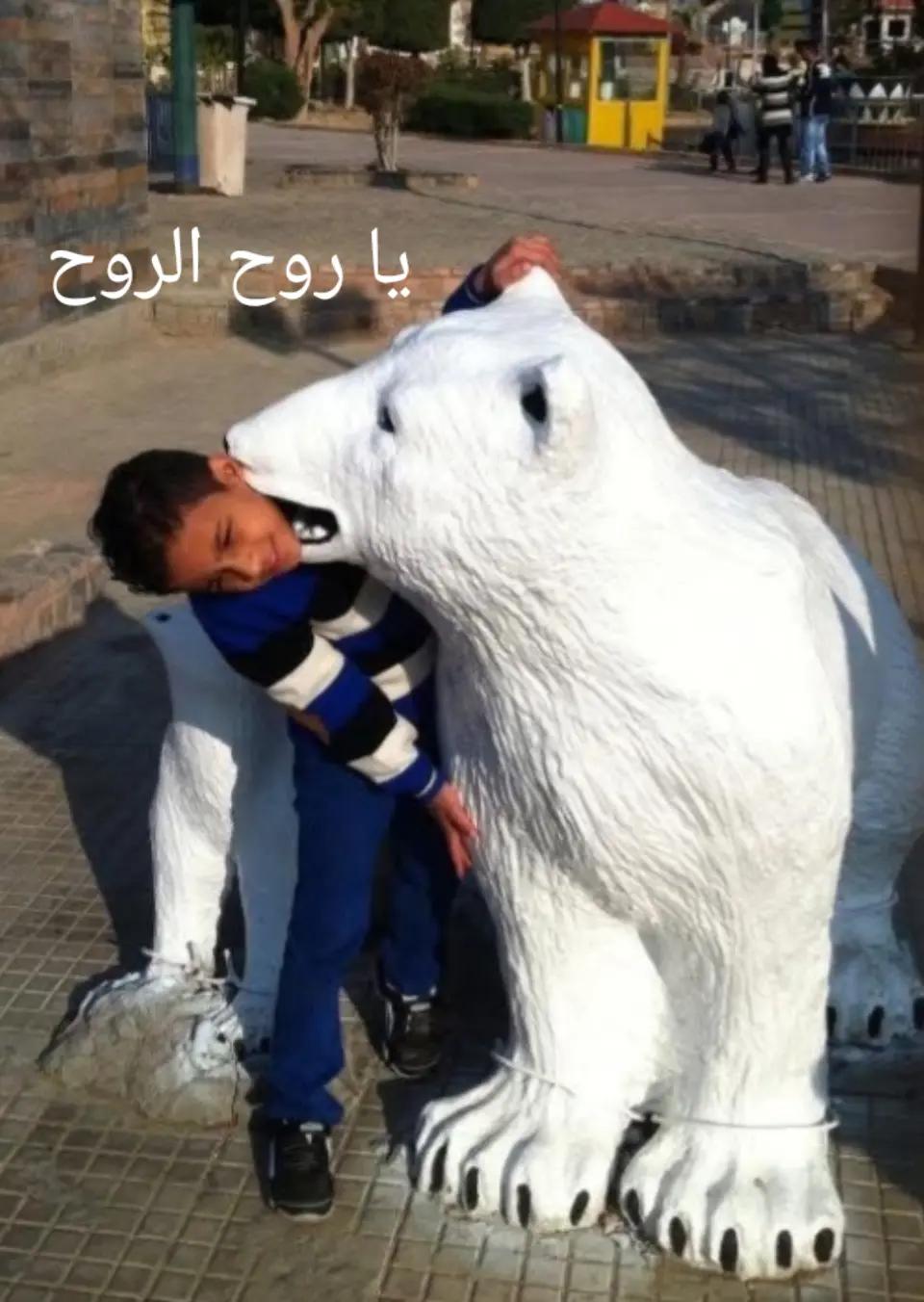 @karkoor 🤪🕊️