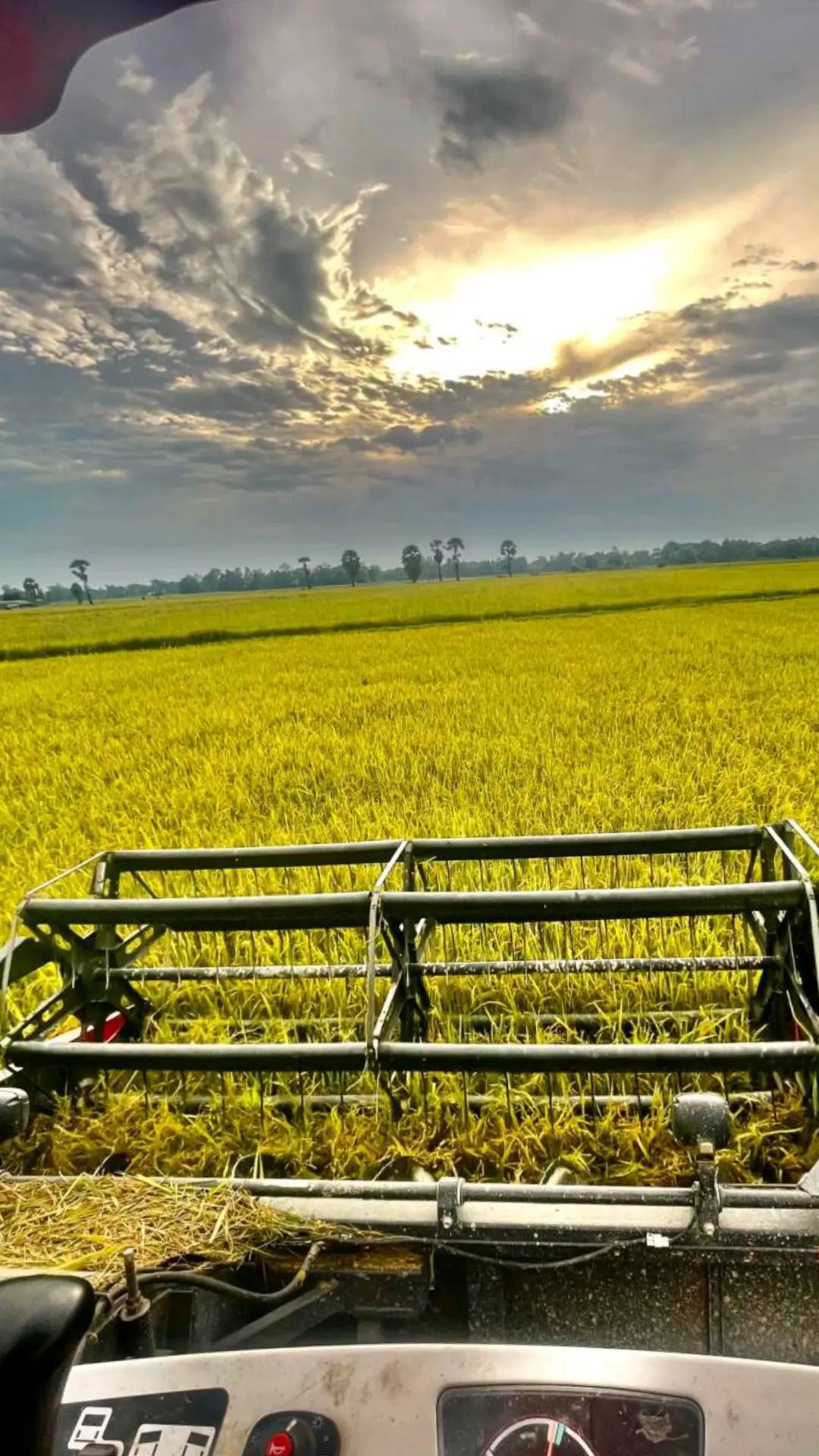 @តៃកុង វ័យក្មេង🌾🚜