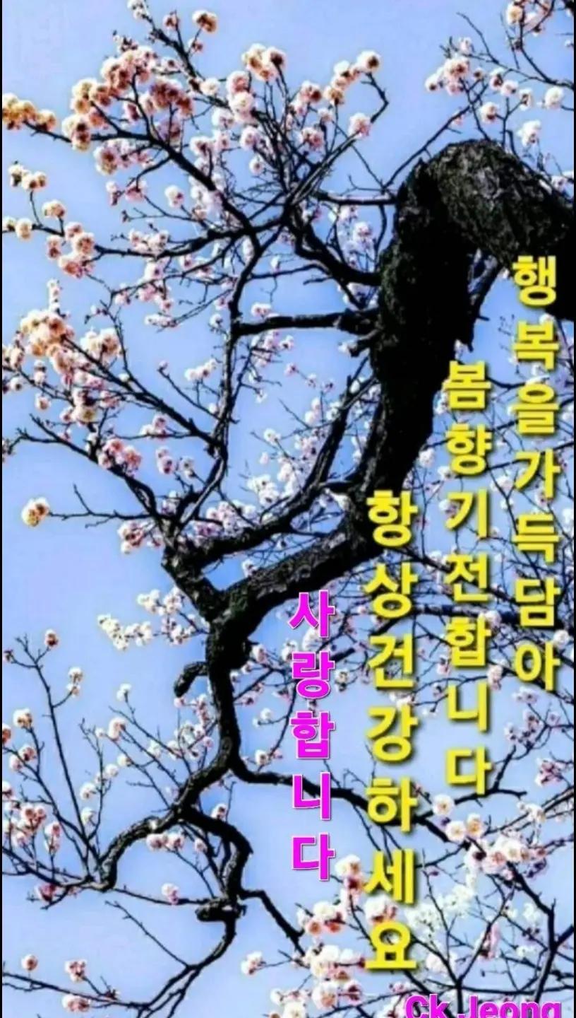 @바라보기