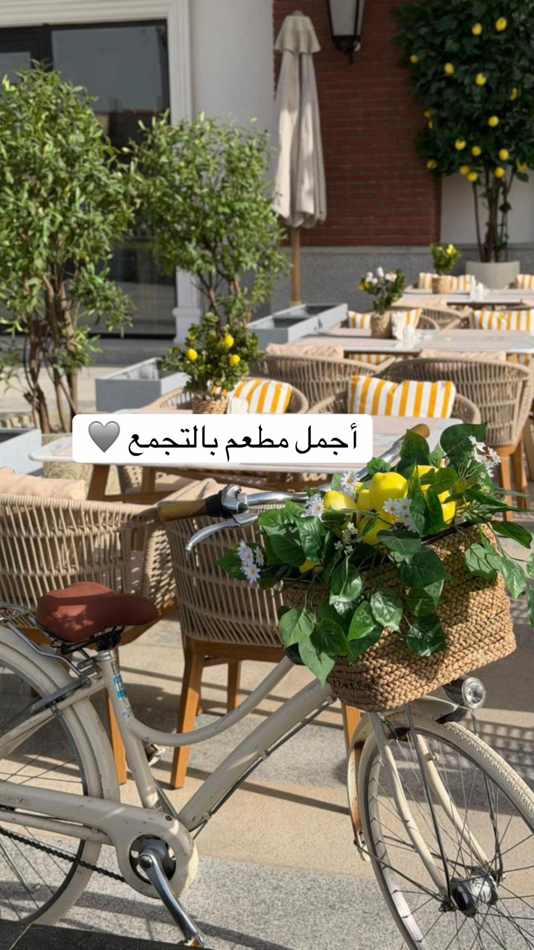 @خليجيون في مصر 🇪🇬