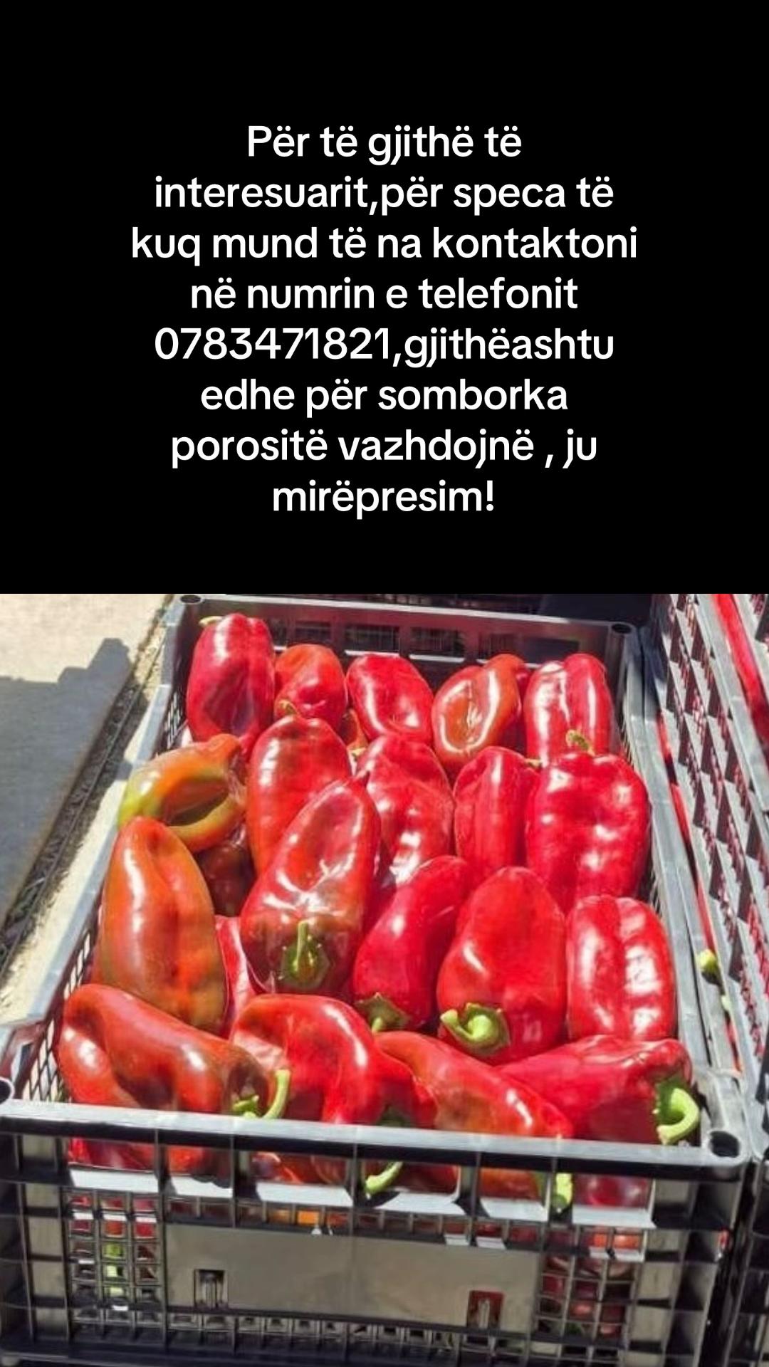 @DidaMarket