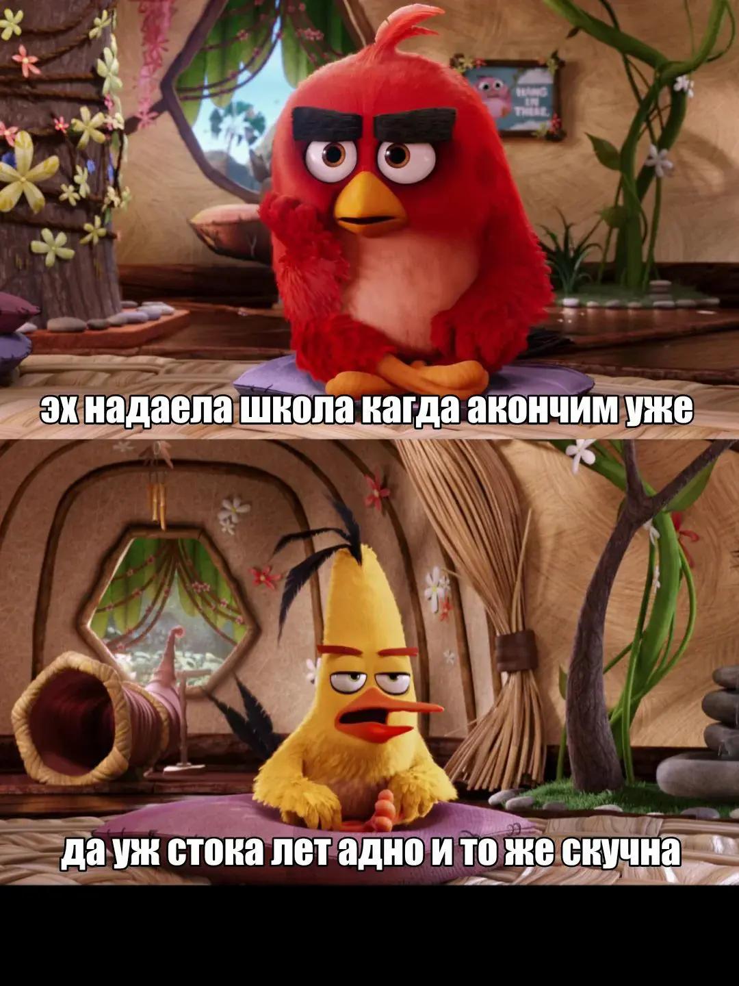 @СИТУАЦИИ НА ПТИЧЬЕМ ОСТРОВЕ⁶&sup2;