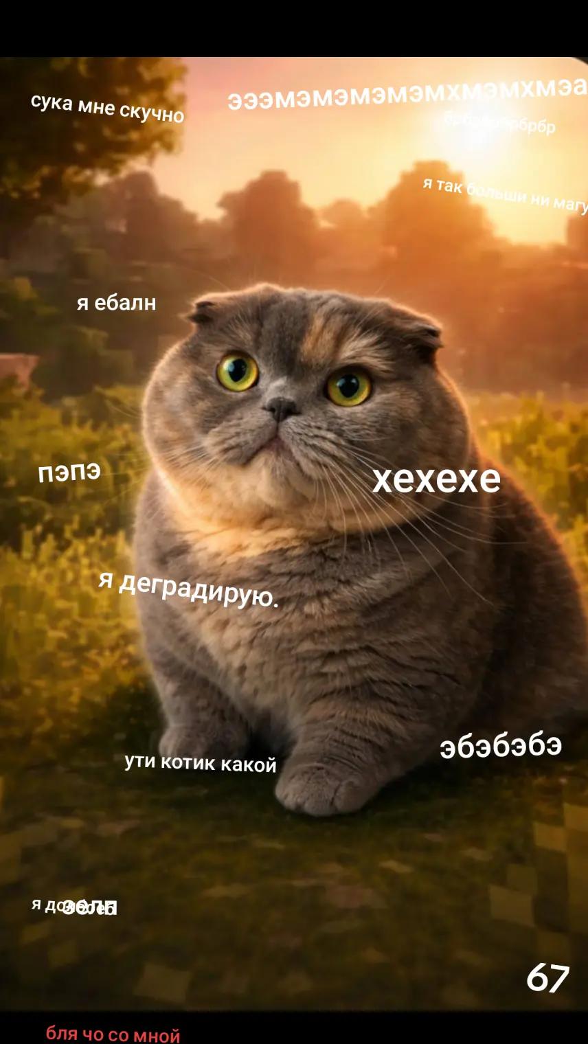 @Катэтет