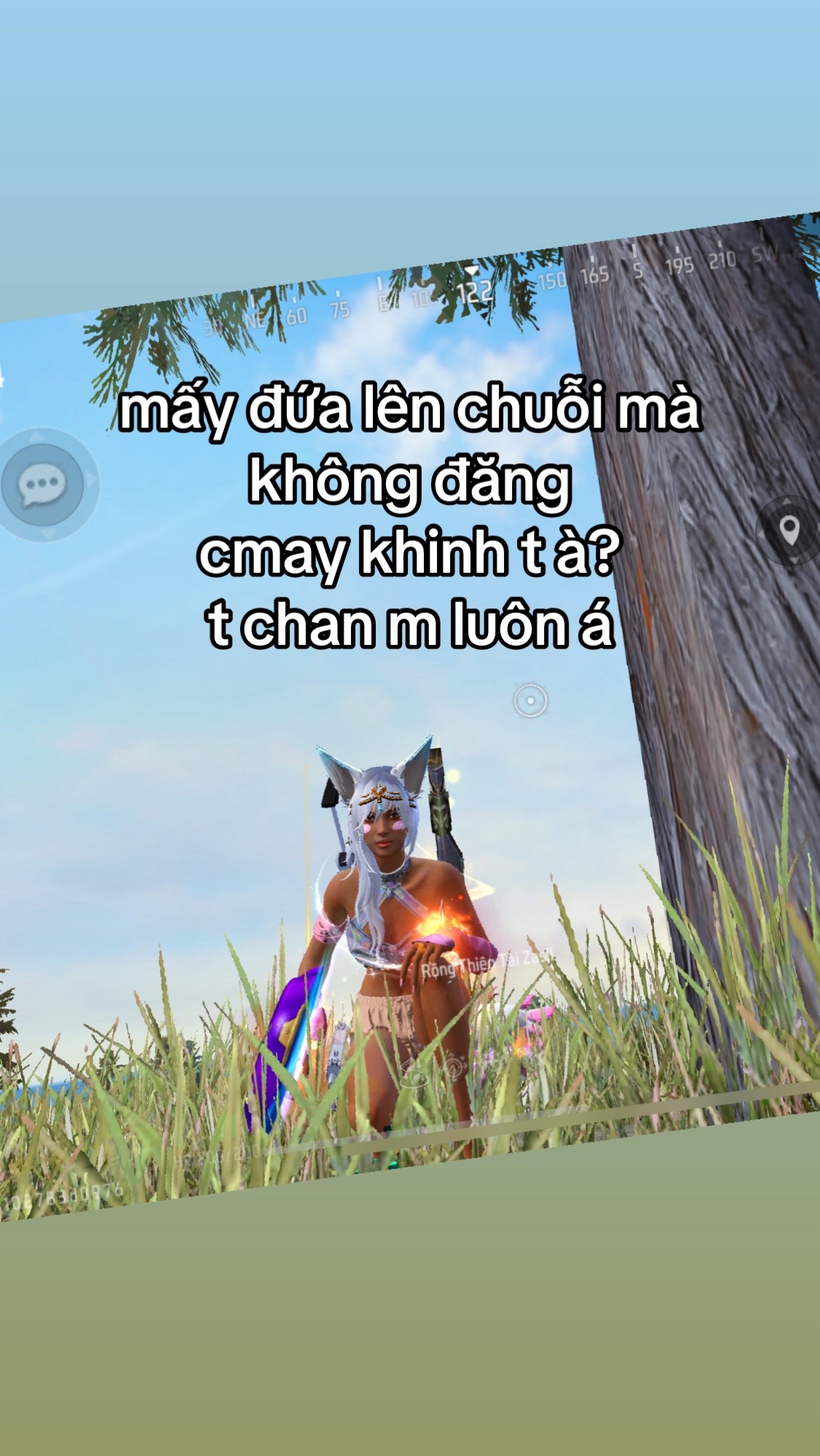 @Angel FF