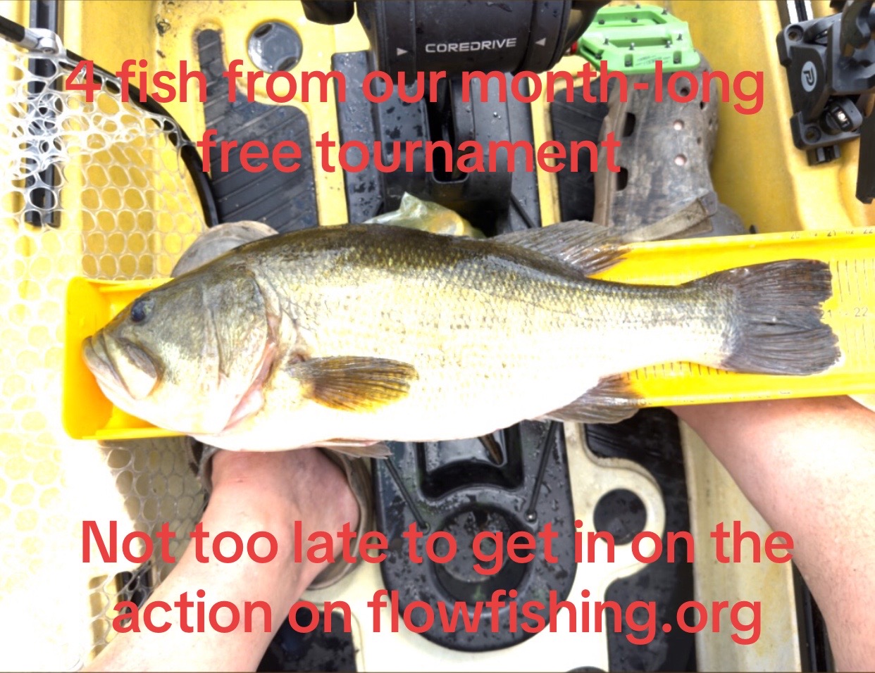 @fishing with the flow13