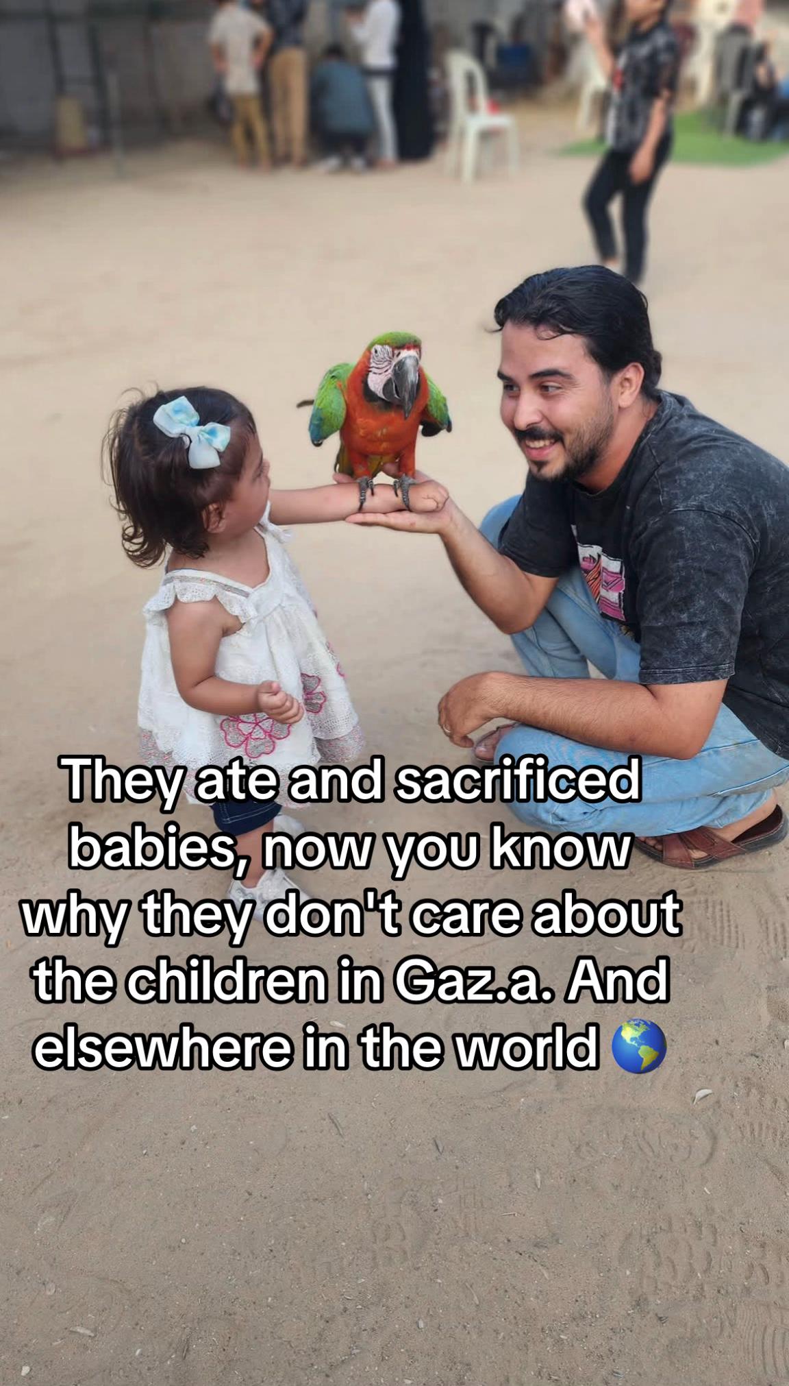 @Gaza Animal Rescue