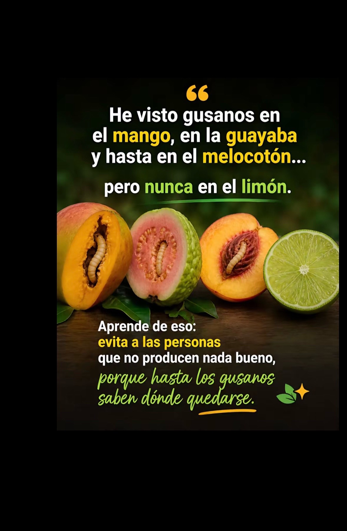 @Ayer 🫣🤣