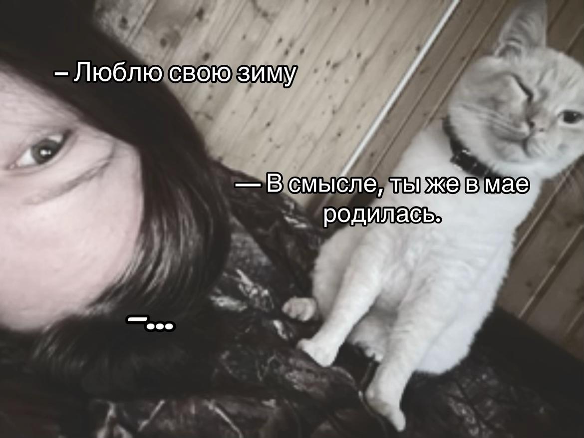 @DaRYA_aki