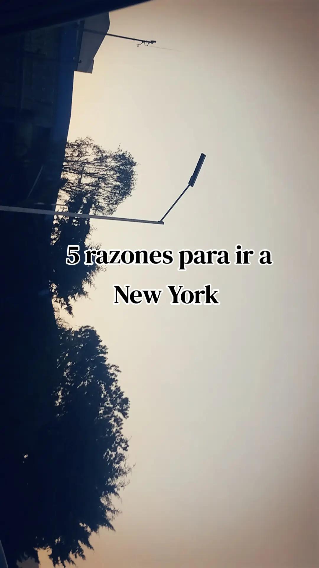 @editsdebianca1