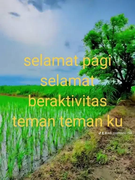 @Edi Purnomo