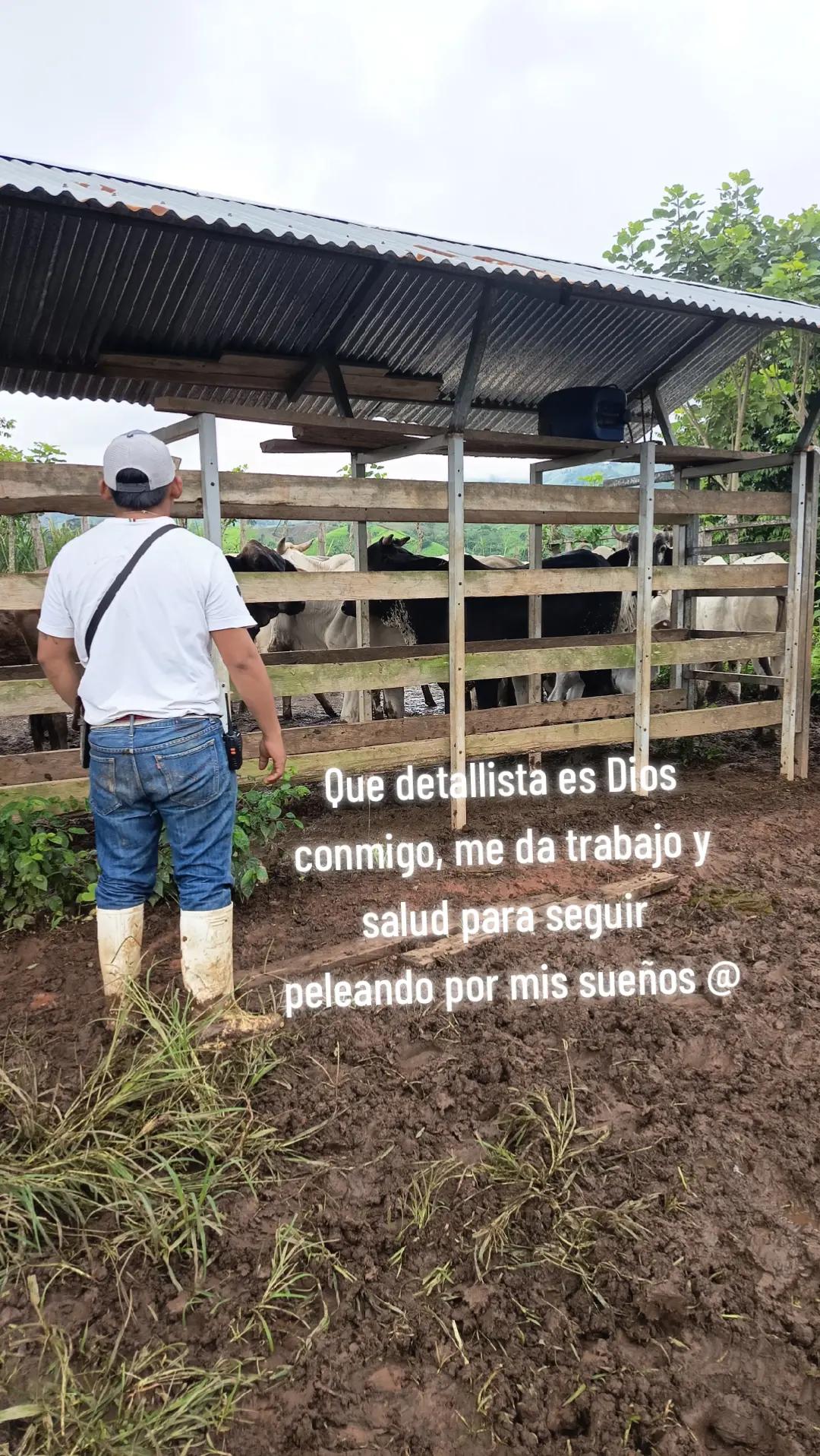 @Jean🤠
