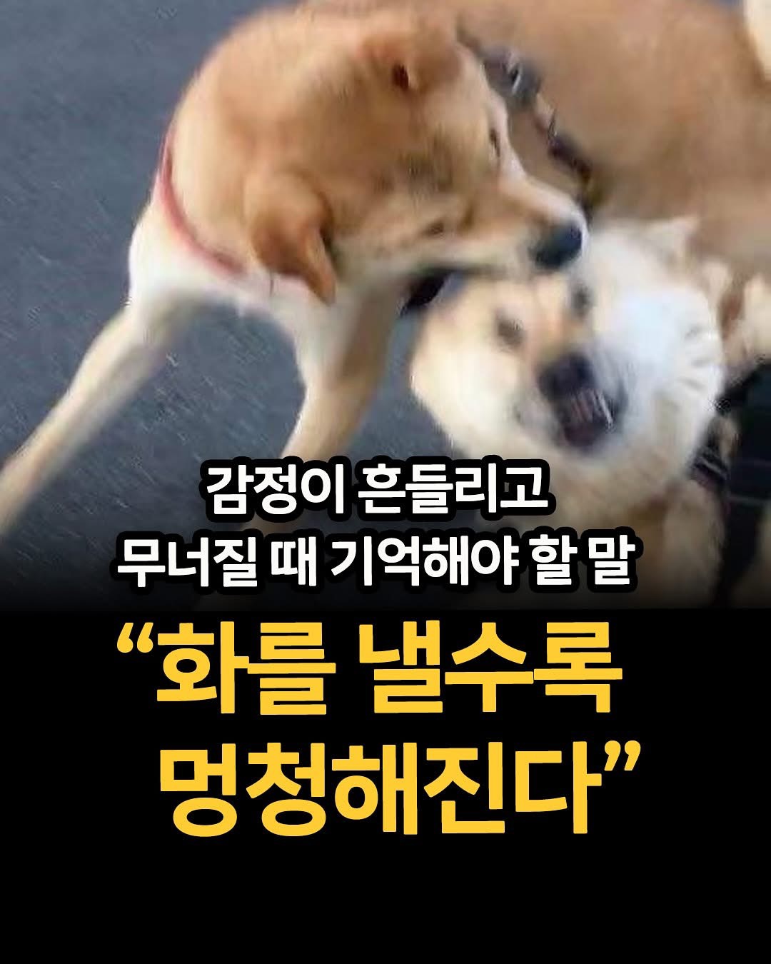 @๐ฐ๐ท์ฐ๊ตฐ๐๐ถ๐ต