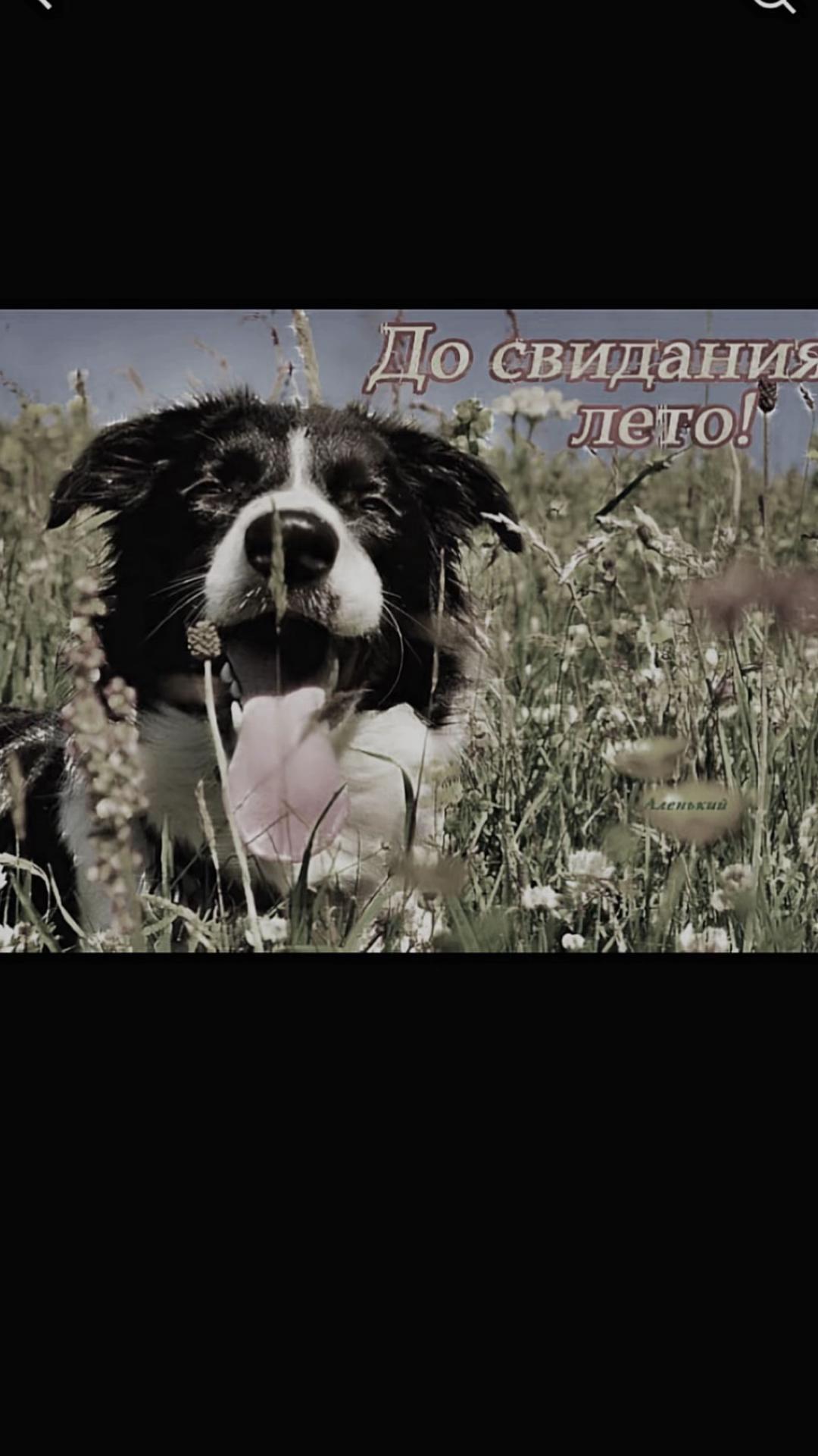 @Лиза Спиннер