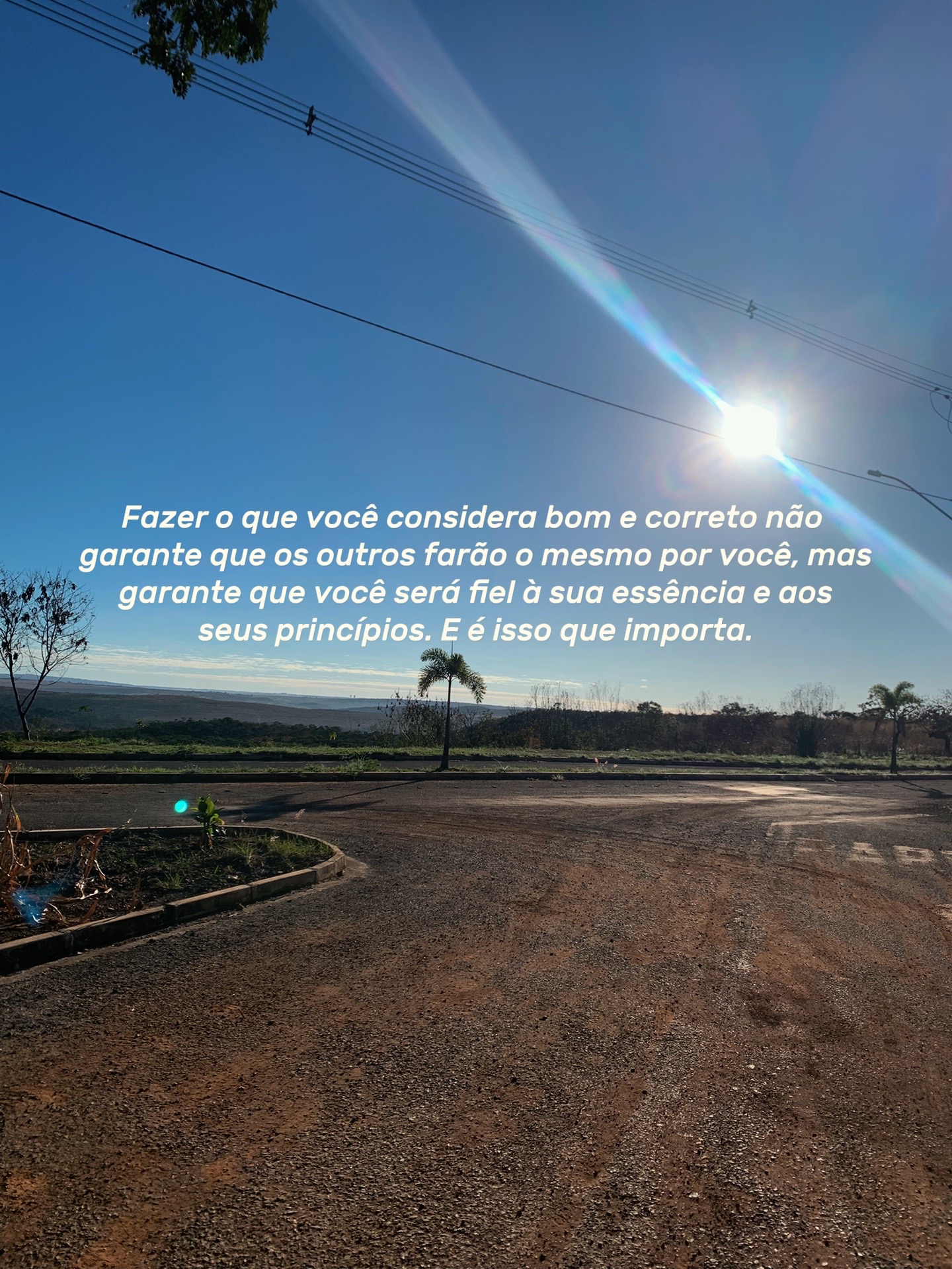 @Ana Paula Costa 🏹