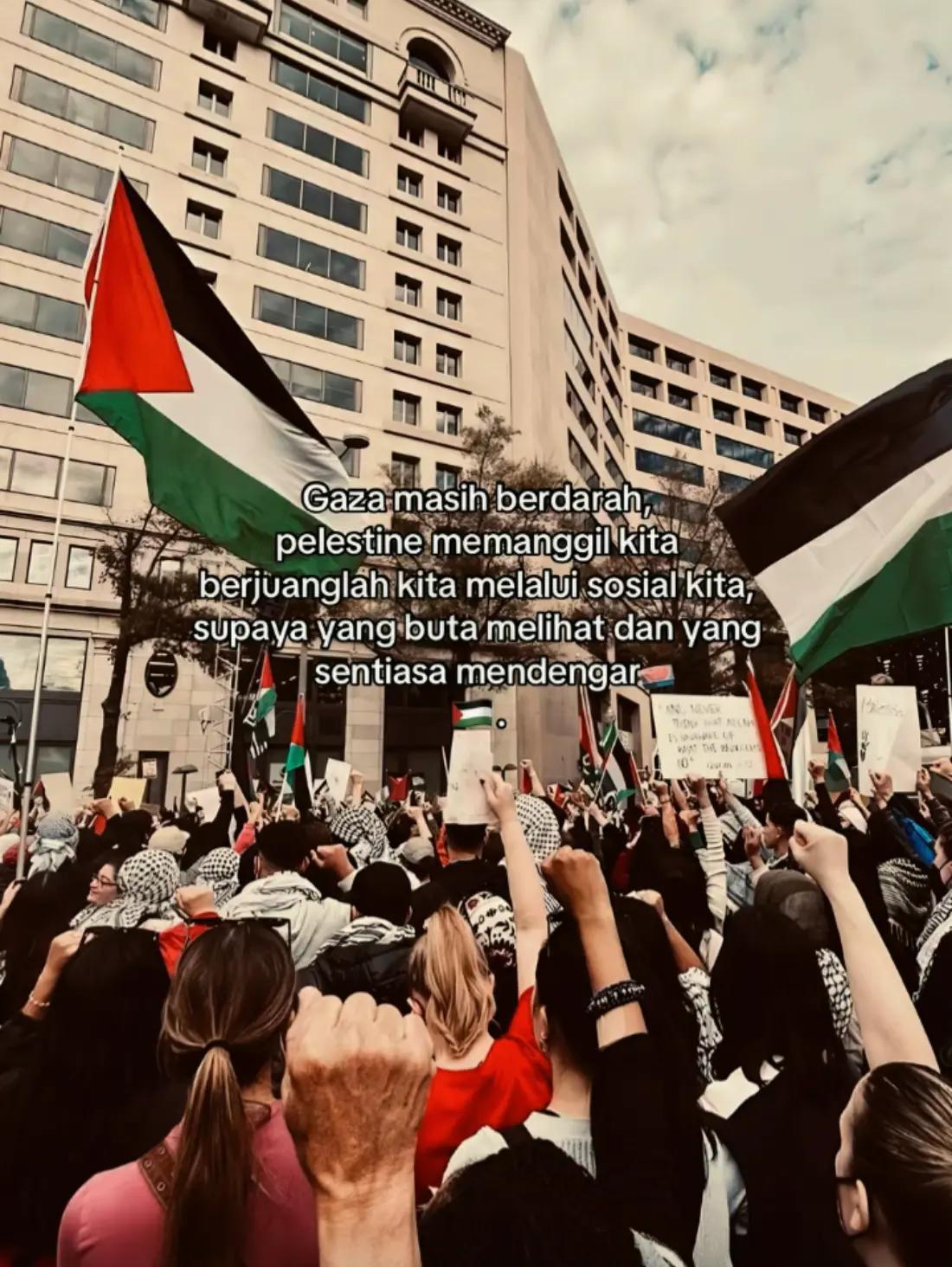 @- Lynxiéé R¡zz - 🇵🇸