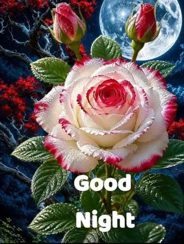 @Sai Meena