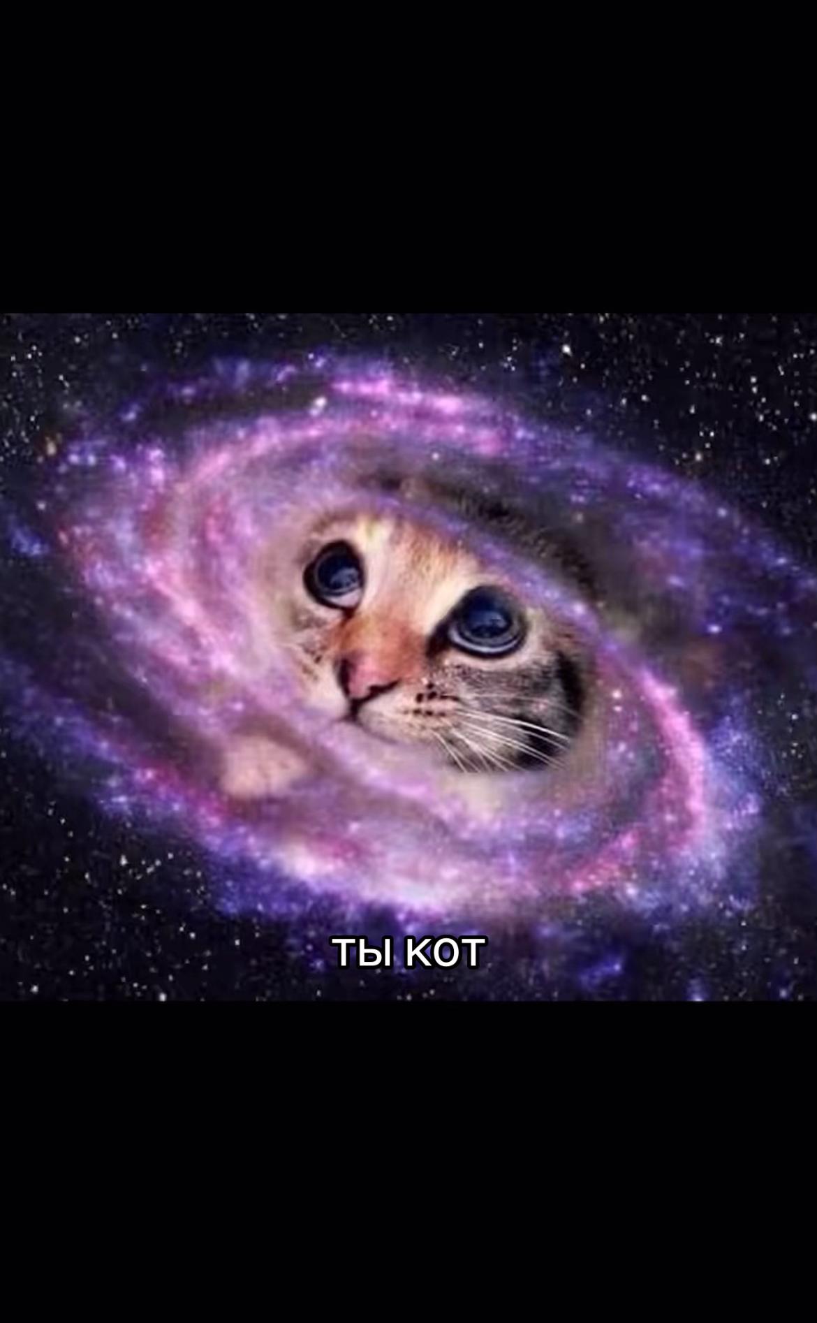 @lolkek21_chebukris