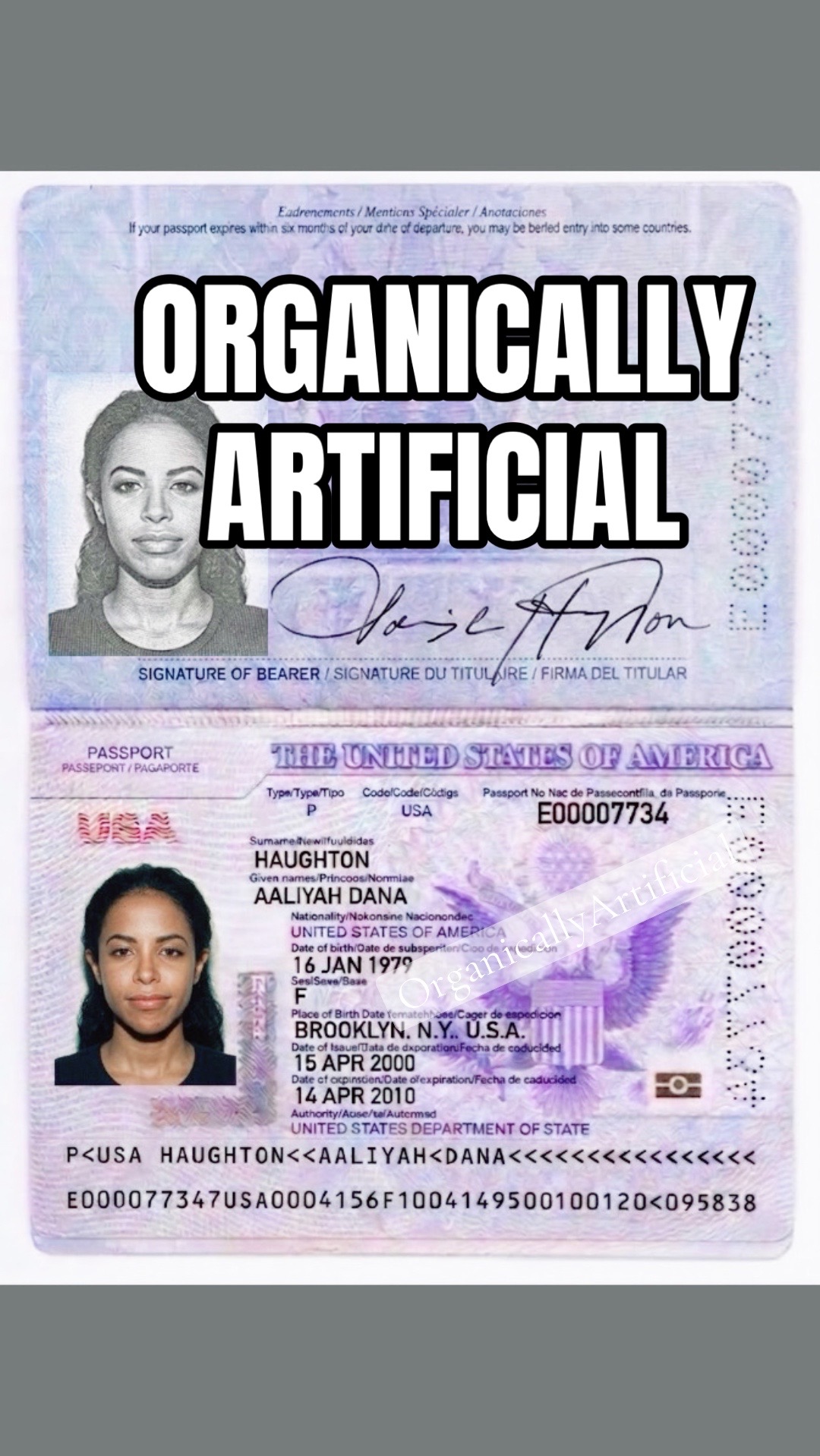 @The Organically Artificial CEO