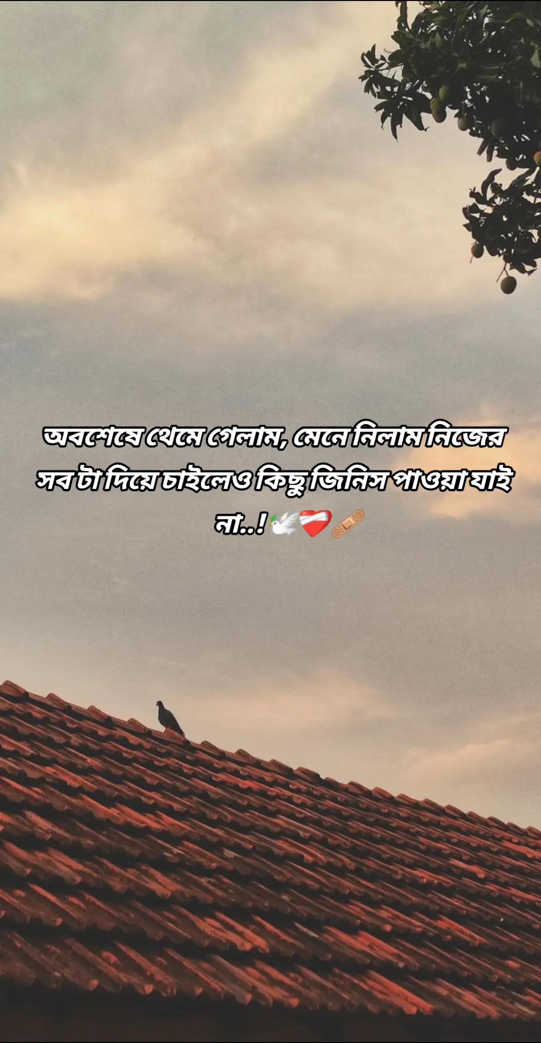 @Ꭾʀ!ᴍᴇ"ᴀʟɪ"