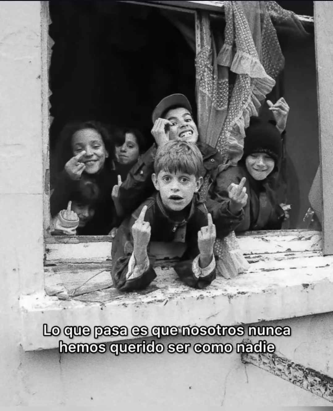 @colmena_716