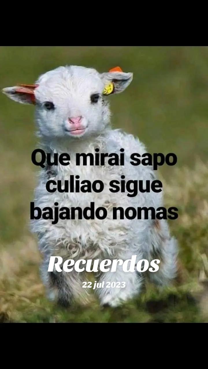 @fabian