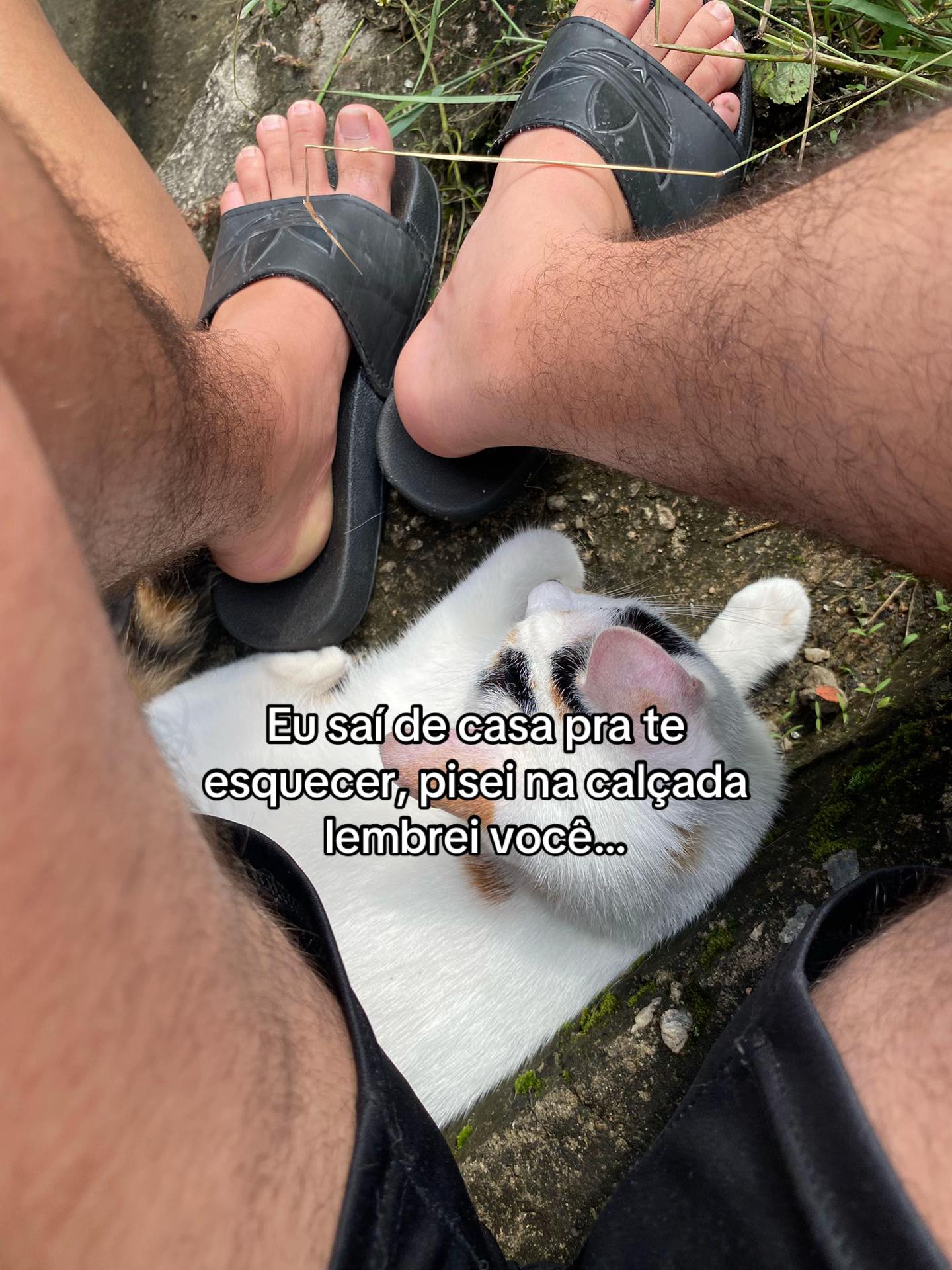 @_bielwzx🇧🇷