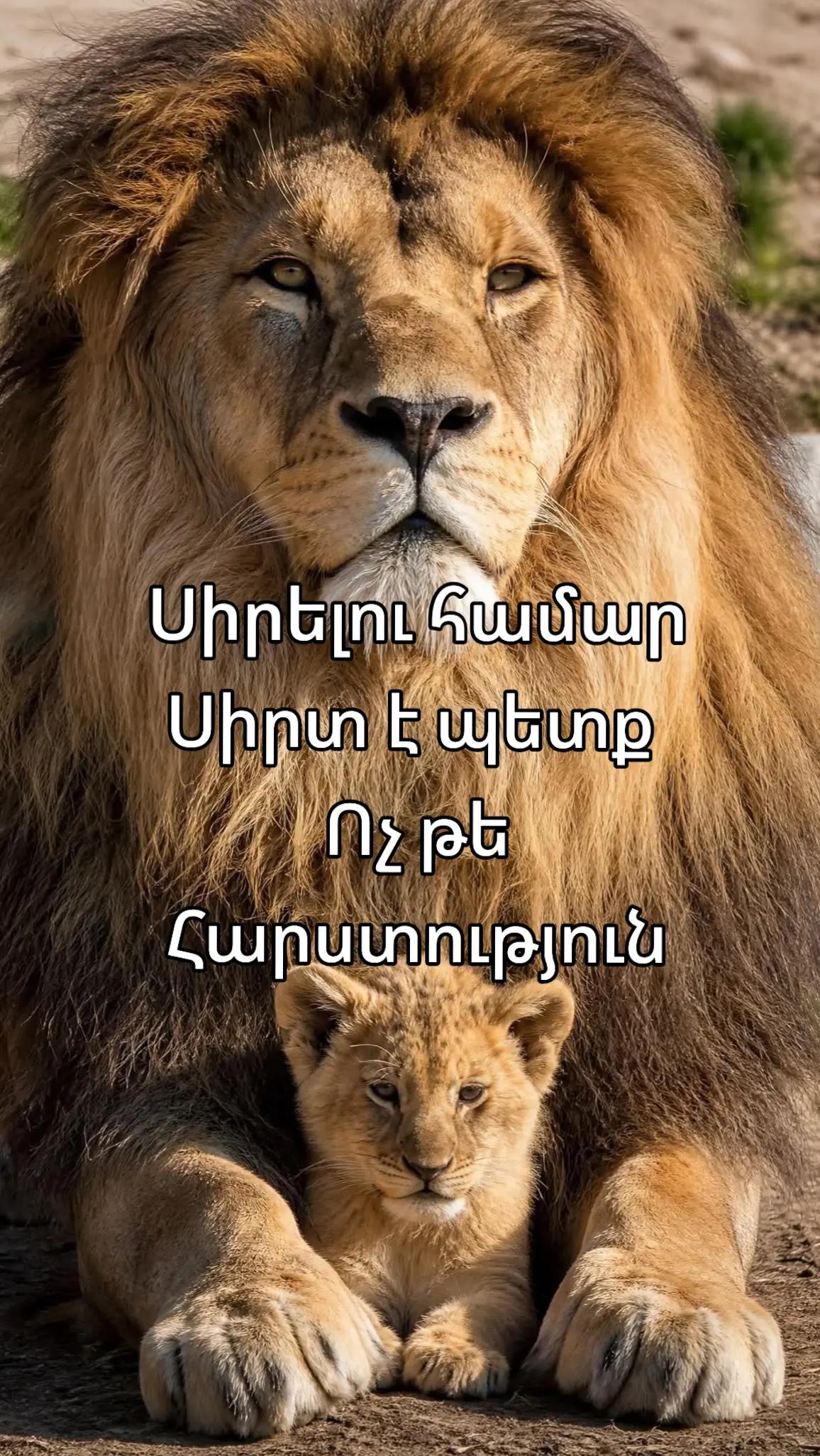@✴️Կայծ Էջմիածին✴️