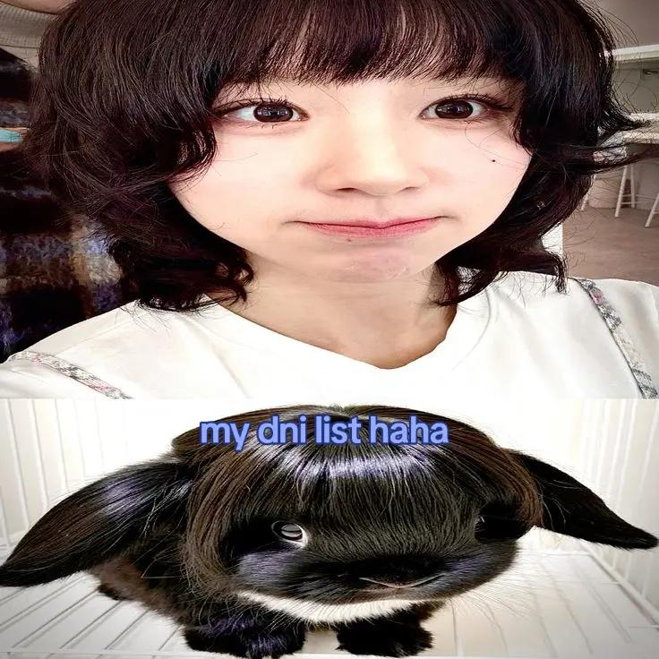 @chry archives