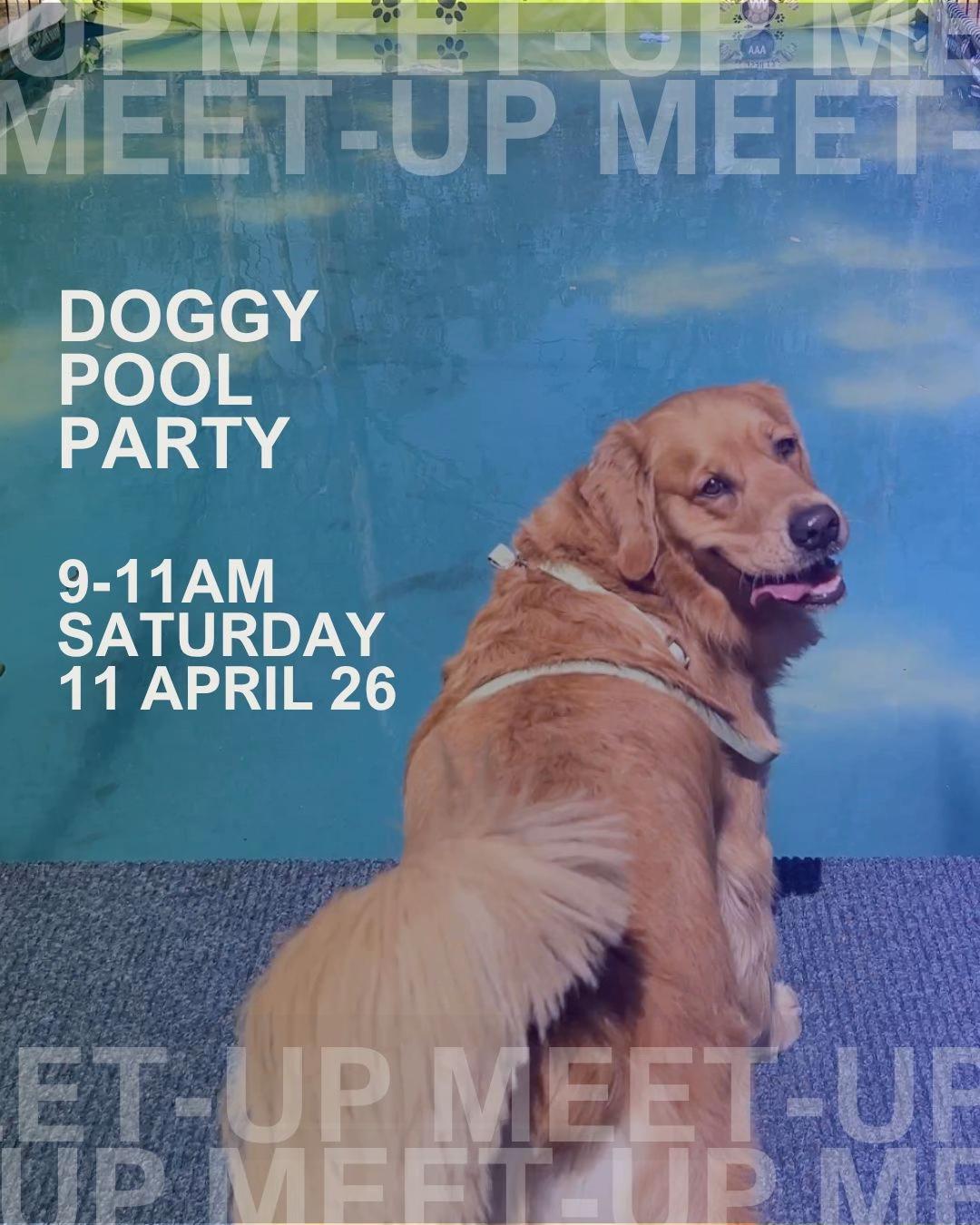 @Brisbane Dog Friendly