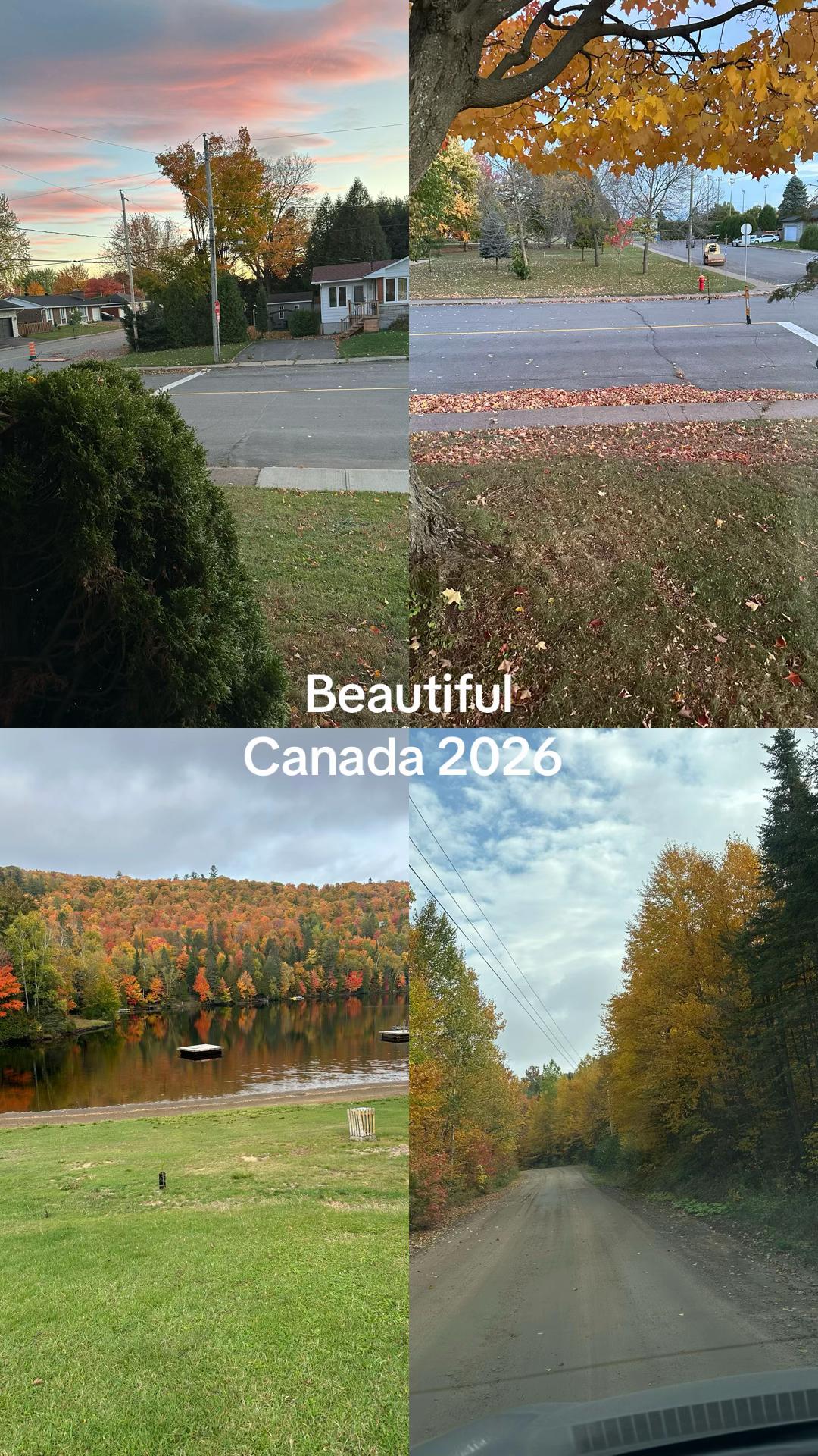 @caroleperreault55