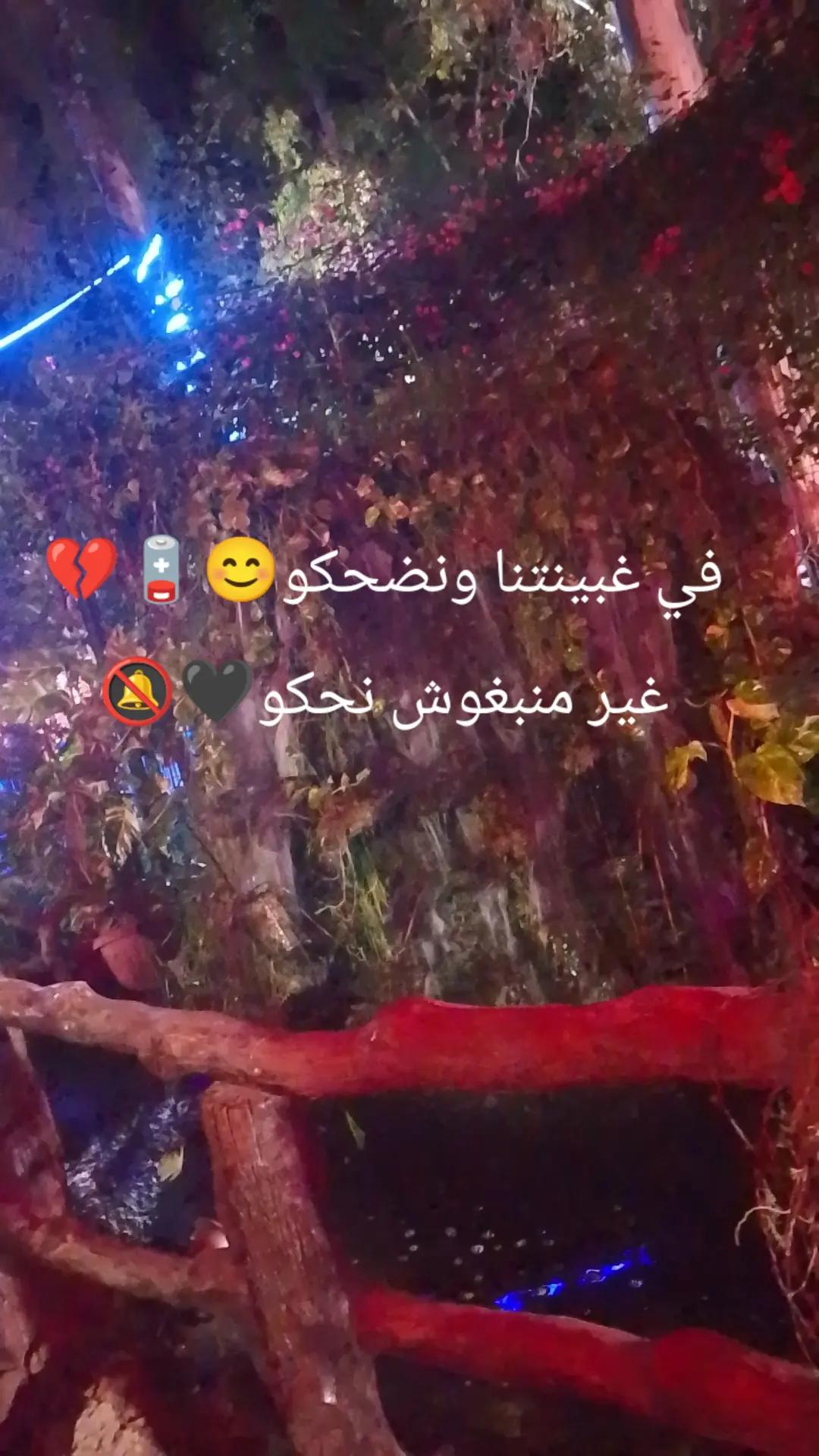 @maram M&eacute;lissa