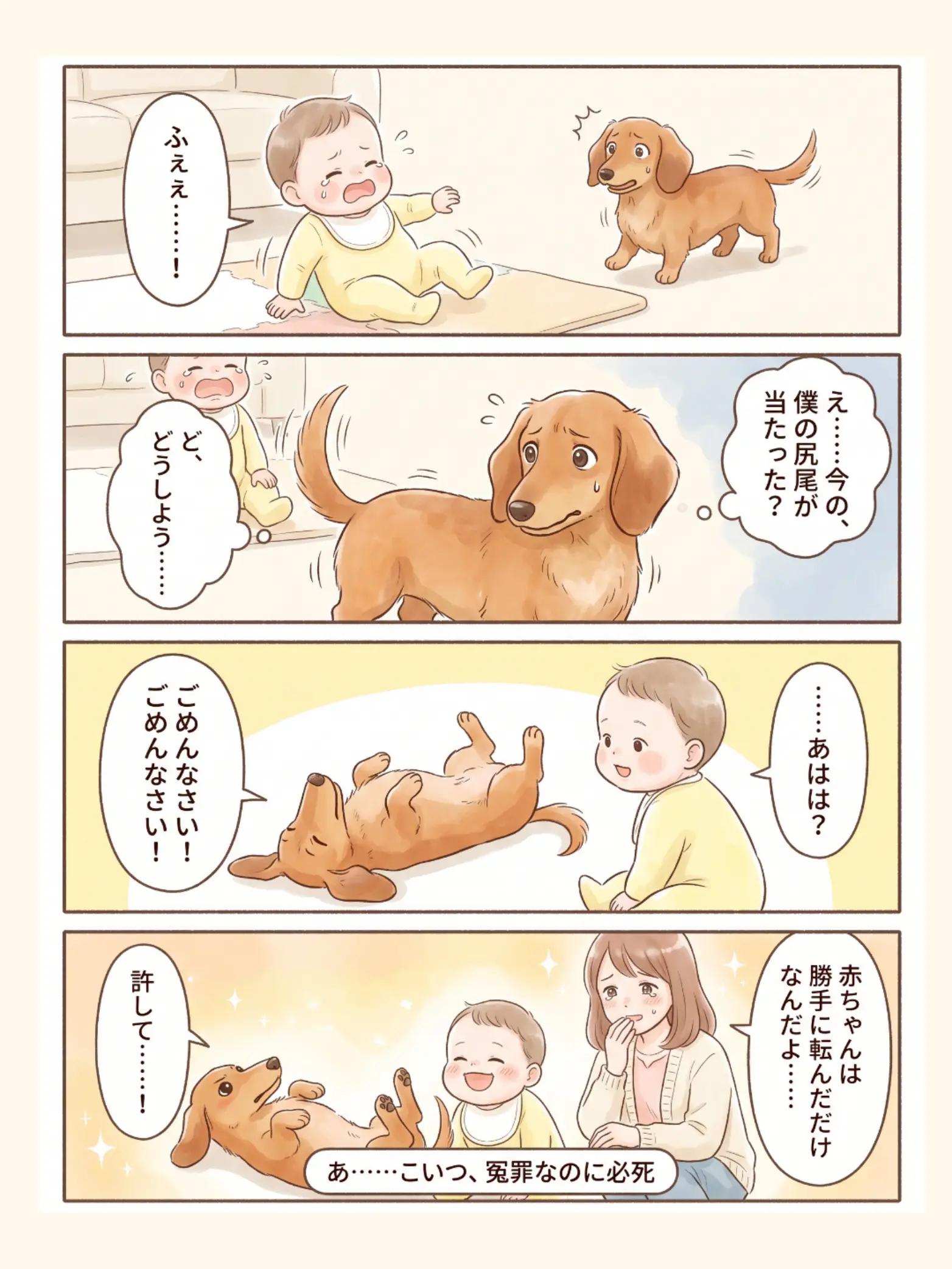 @都内のチワワ